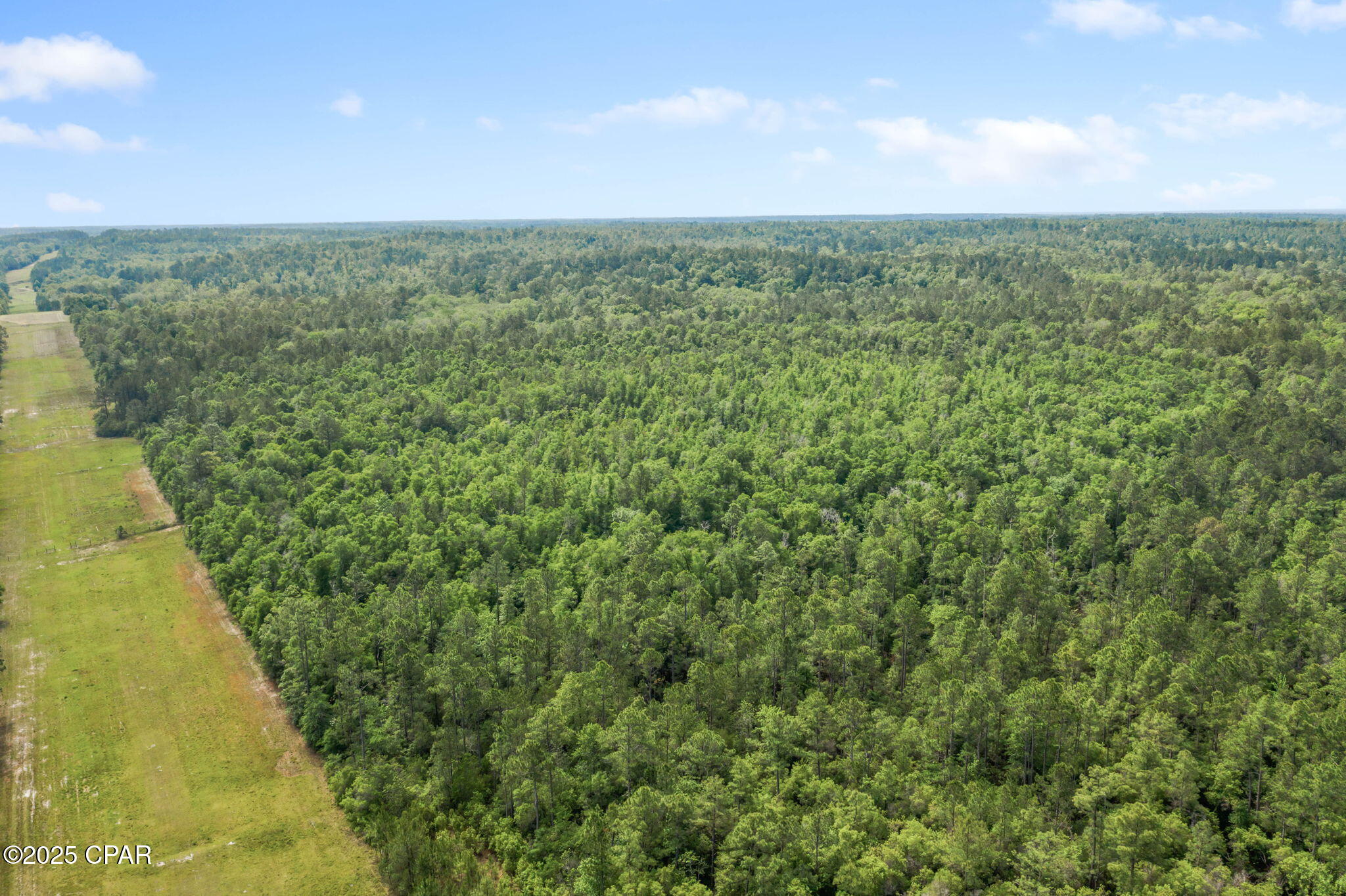 3100 Alhambra Drive, Chipley, Florida image 12