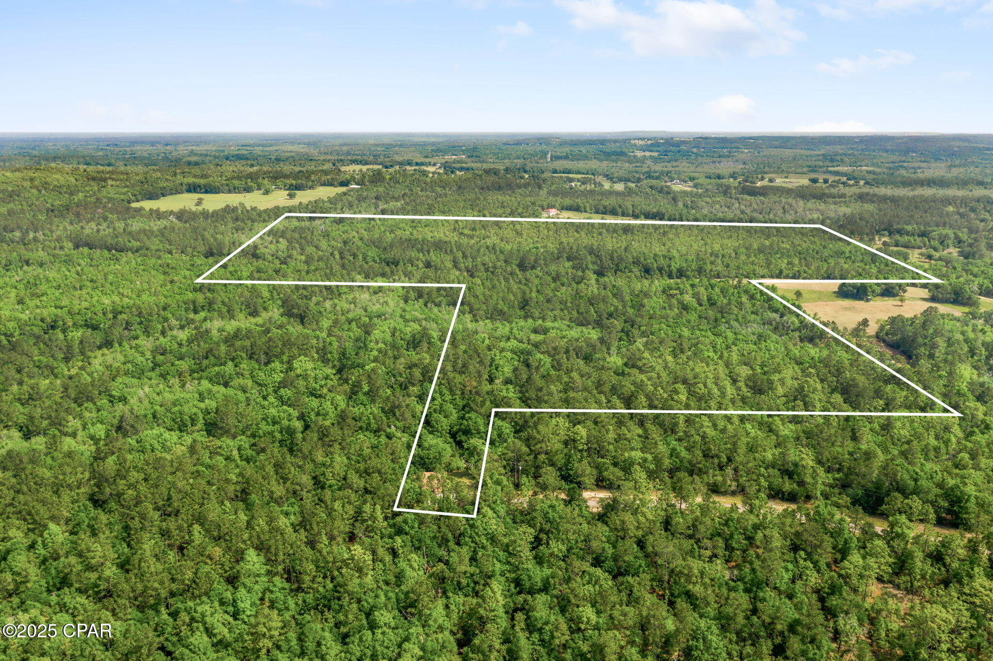 3100 Alhambra Drive, Chipley, Florida image 3
