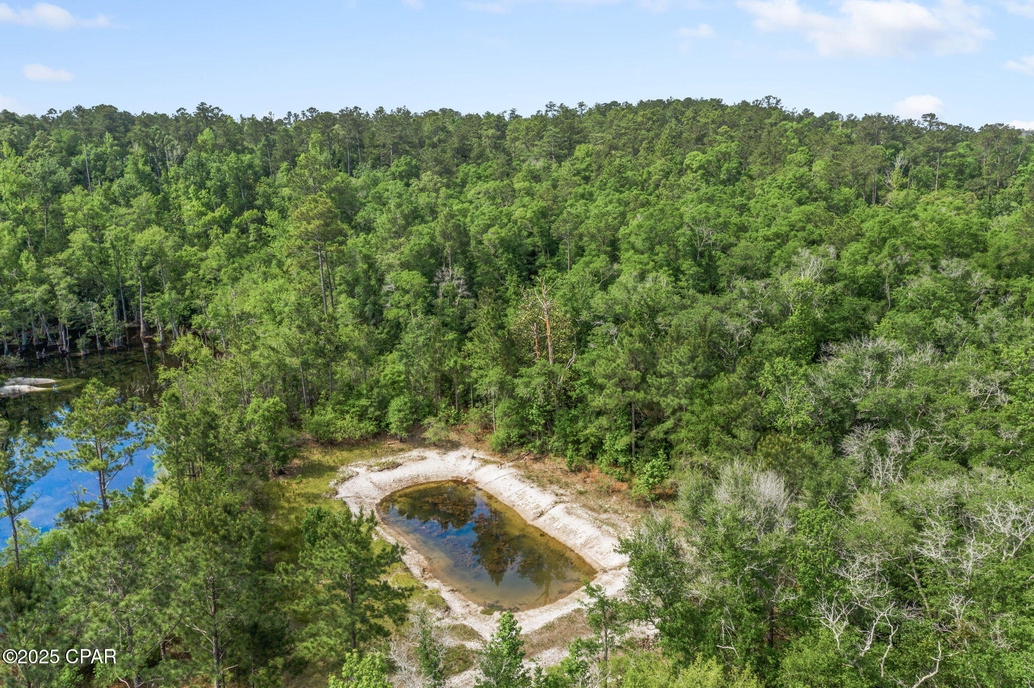 3100 Alhambra Drive, Chipley, Florida image 6