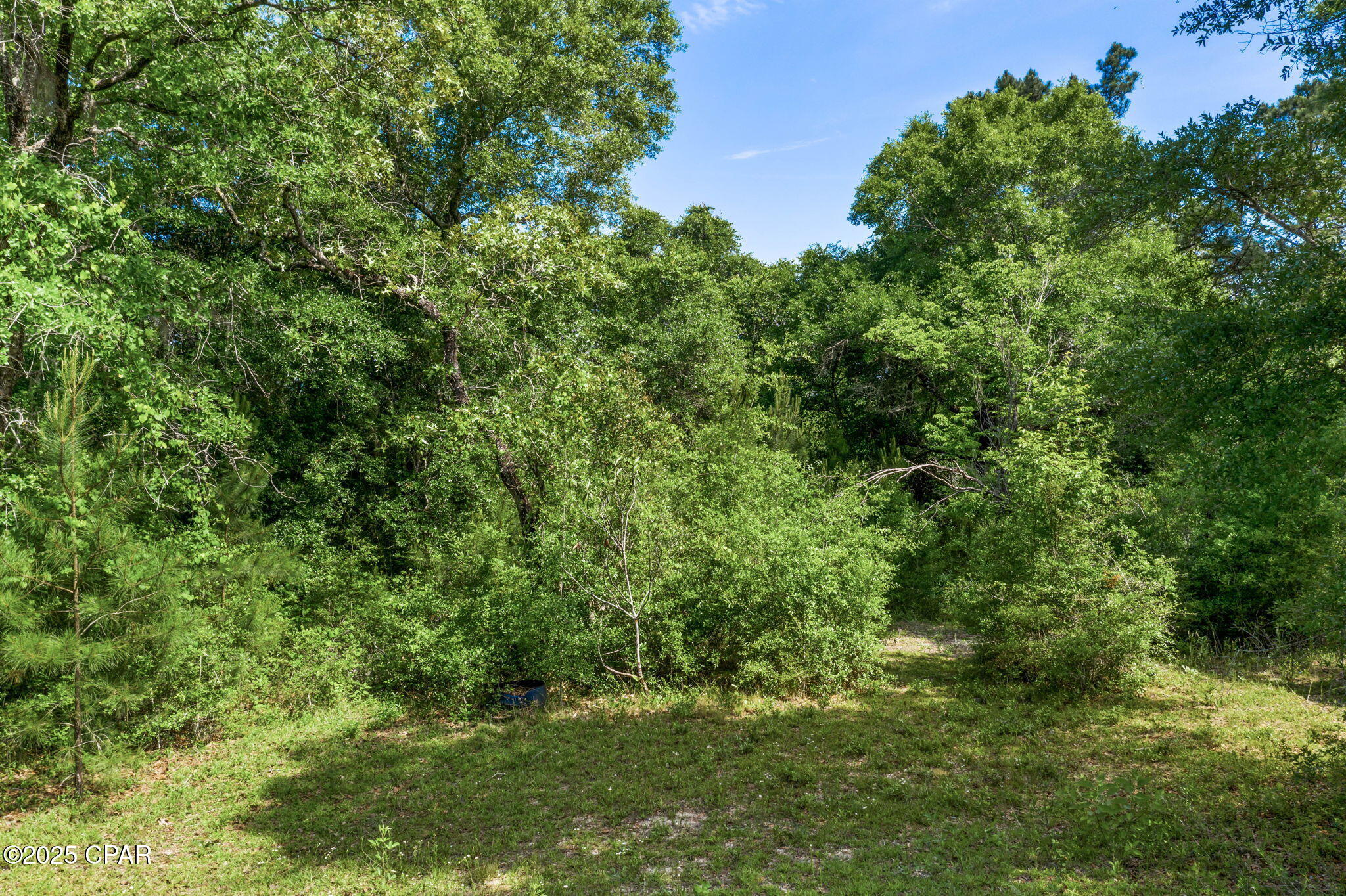 3100 Alhambra Drive, Chipley, Florida image 7
