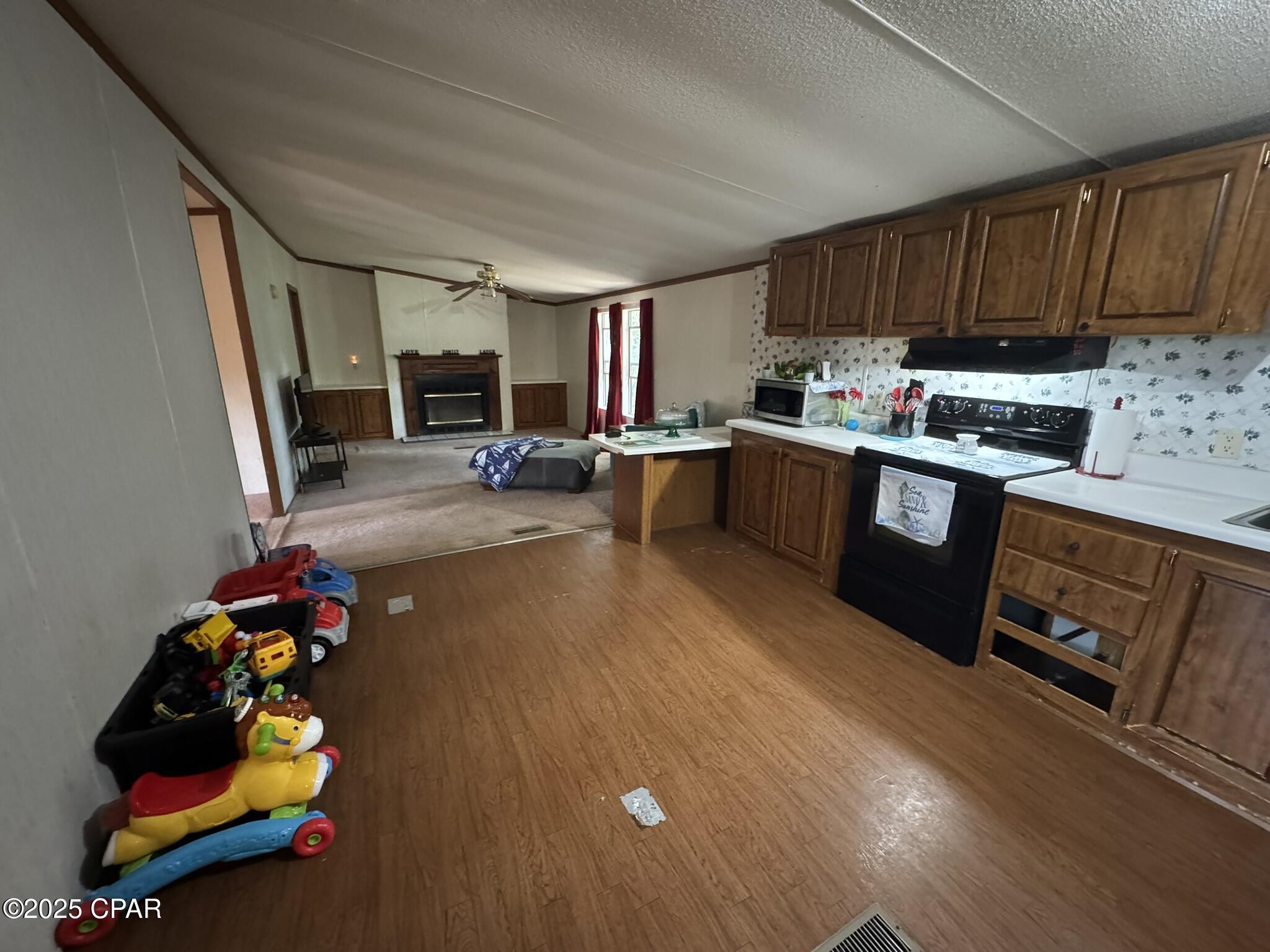 2018 Wilson Avenue, Grand Ridge, Florida image 13