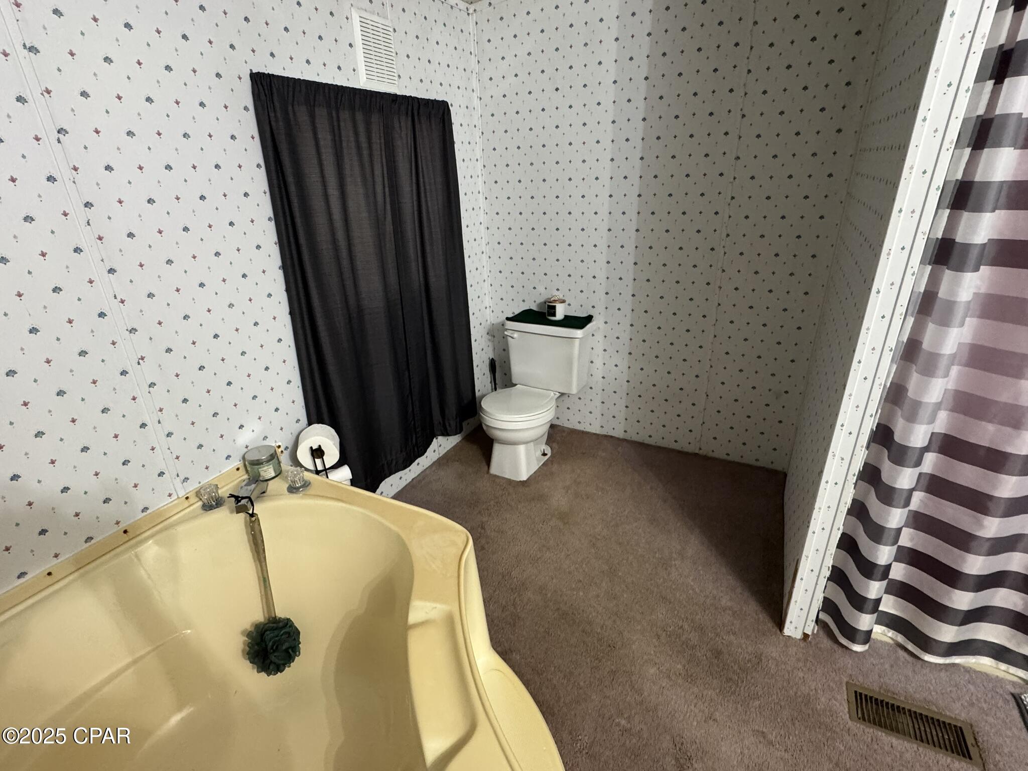 2018 Wilson Avenue, Grand Ridge, Florida image 22