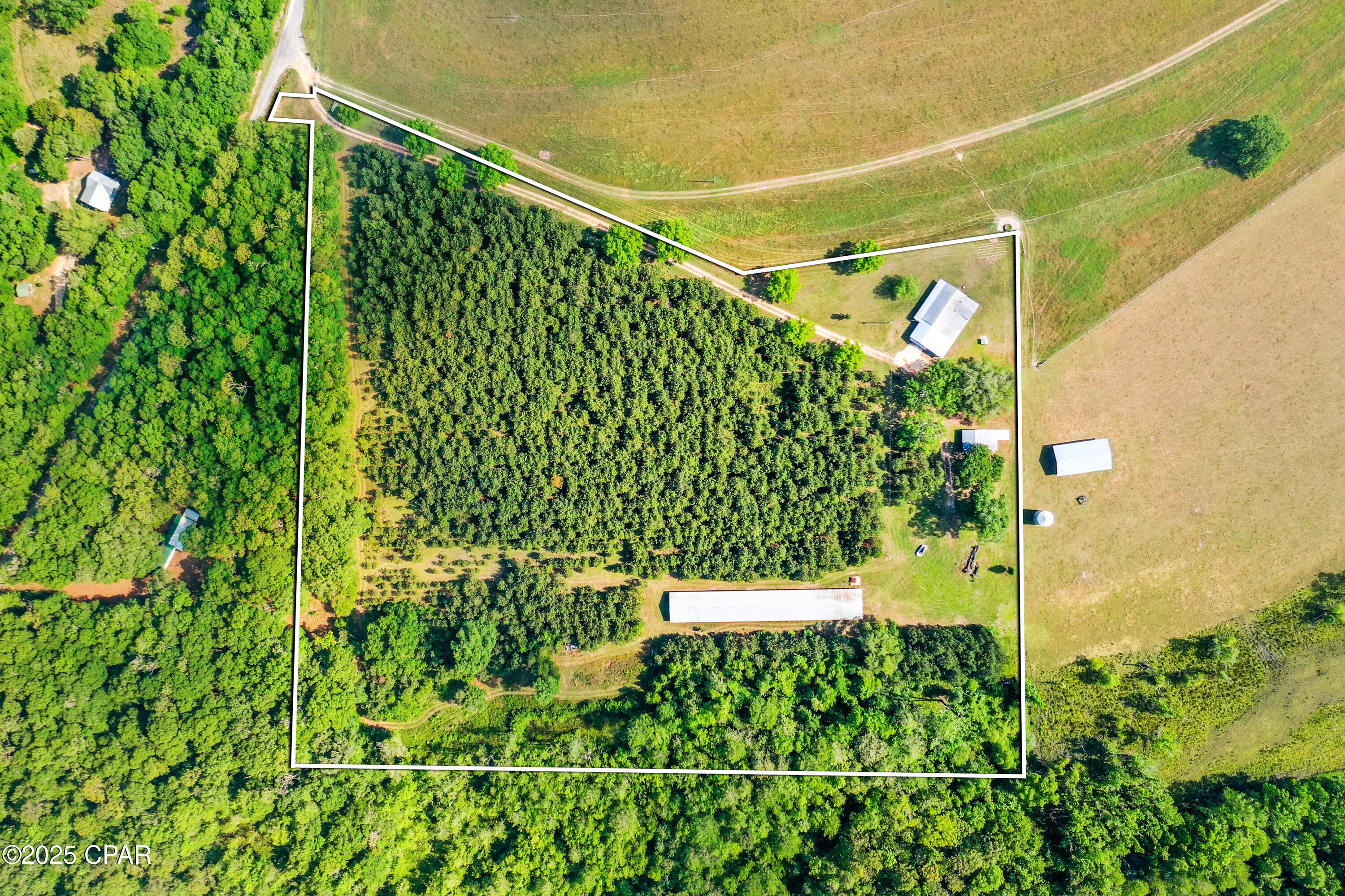 1141 Grover Lewis Road, Bonifay, Florida image 2