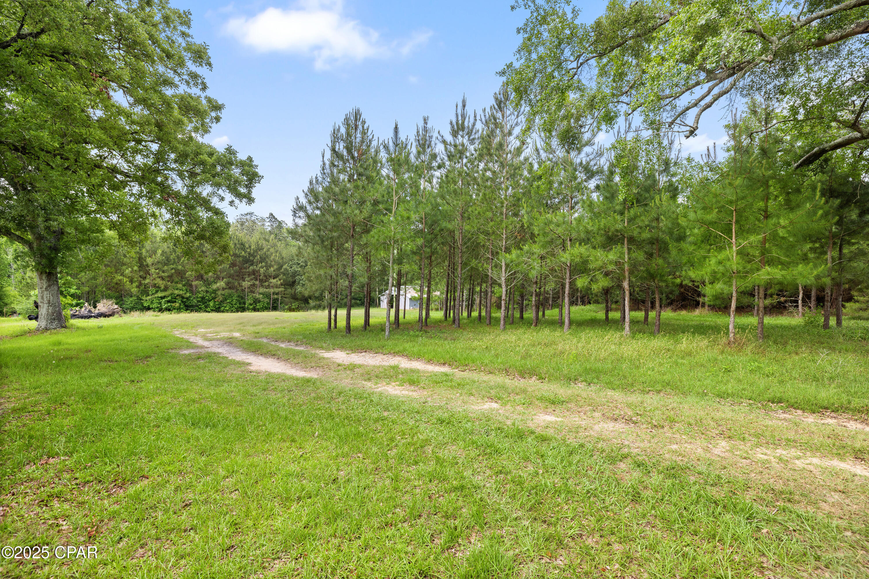 1141 Grover Lewis Road, Bonifay, Florida image 26