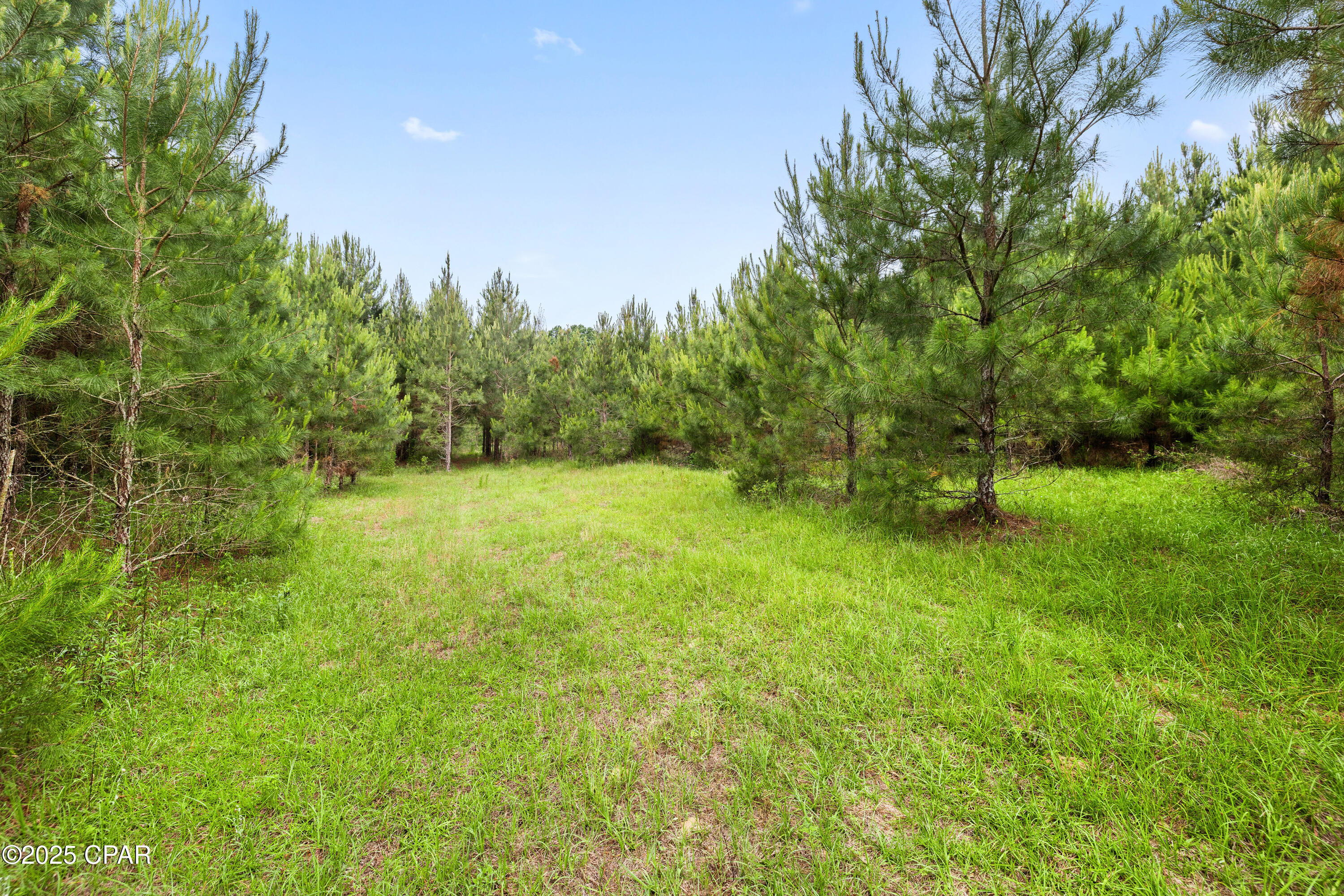1141 Grover Lewis Road, Bonifay, Florida image 34