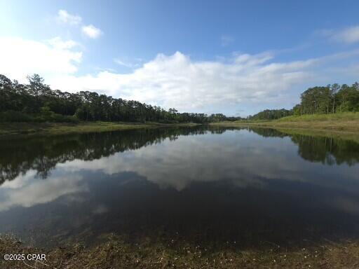 Details for 00 Payne Lake Road Road, Chipley, FL 32428