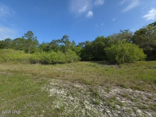 00 Payne Lake Road Road, Chipley, Florida image 2