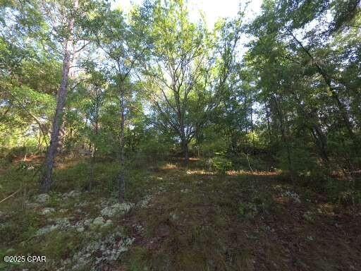 Image 3 For 00 Payne Lake Road Road