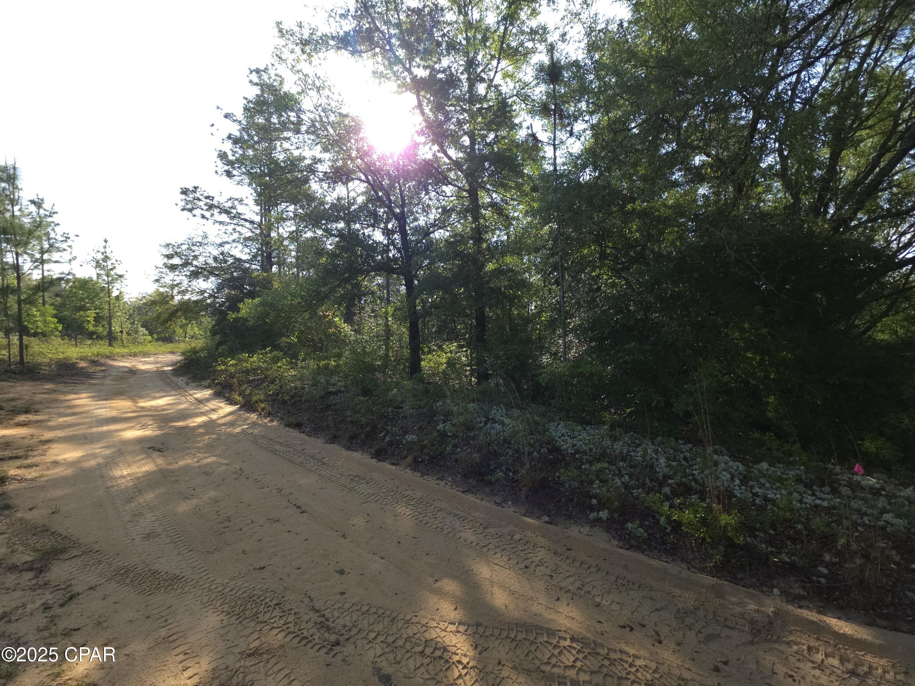 00 Payne Lake Road Road, Chipley, Florida image 4