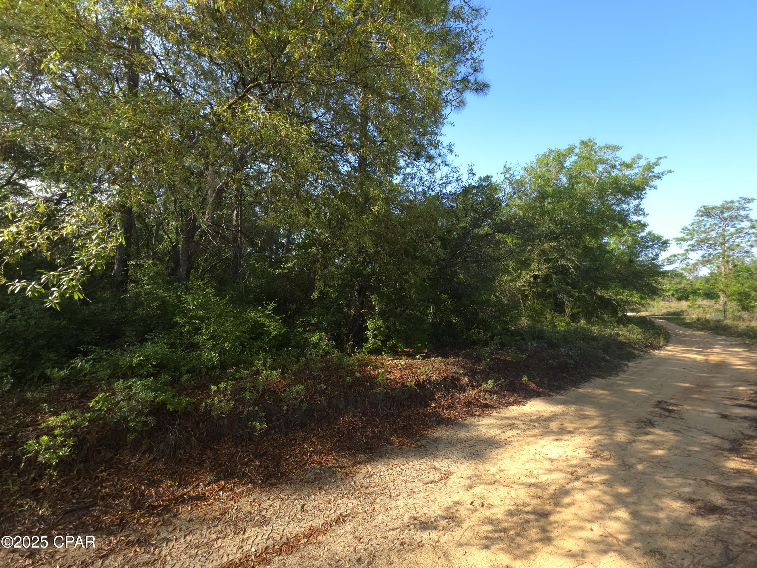 00 Payne Lake Road Road, Chipley, Florida image 5