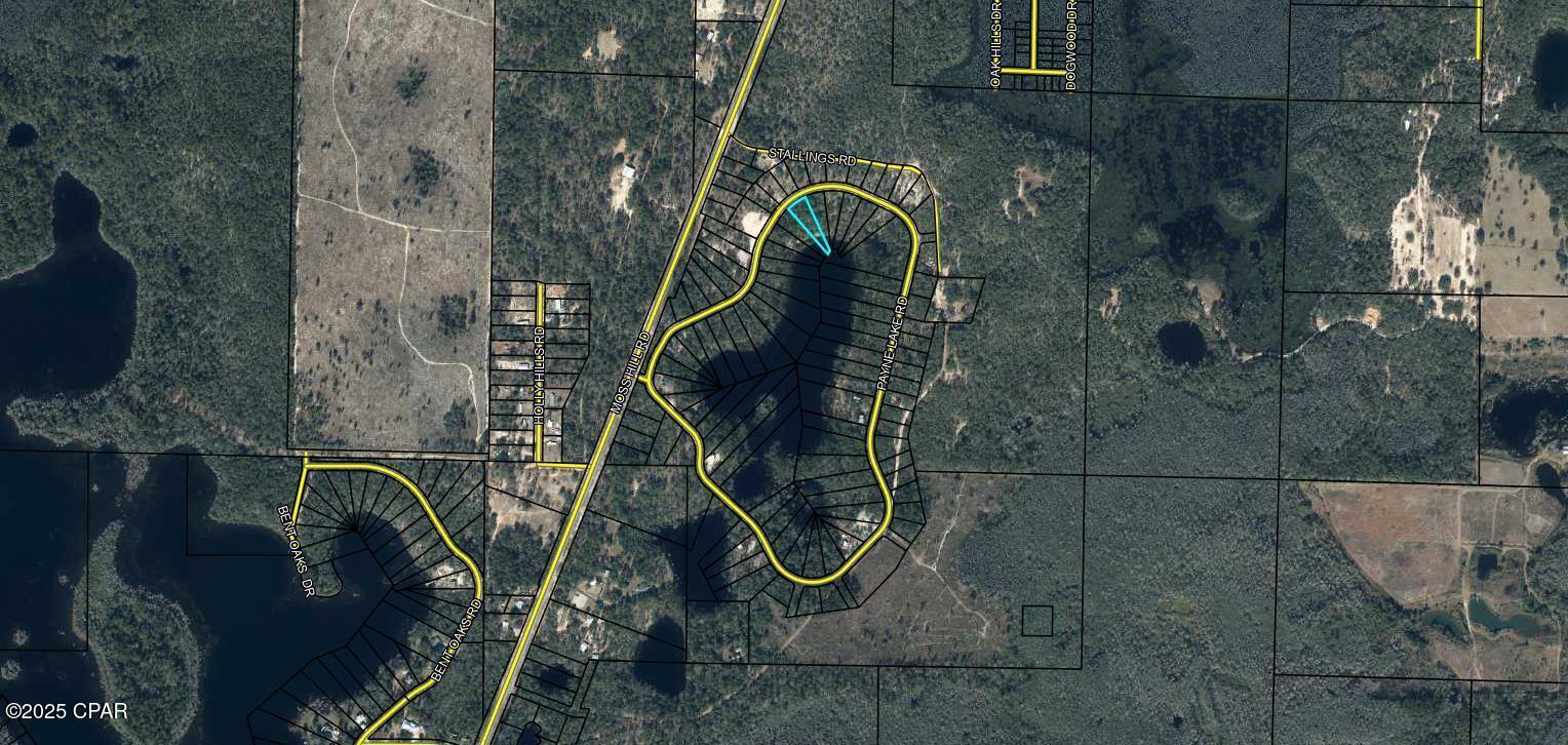 00 Payne Lake Road Road, Chipley, Florida image 7
