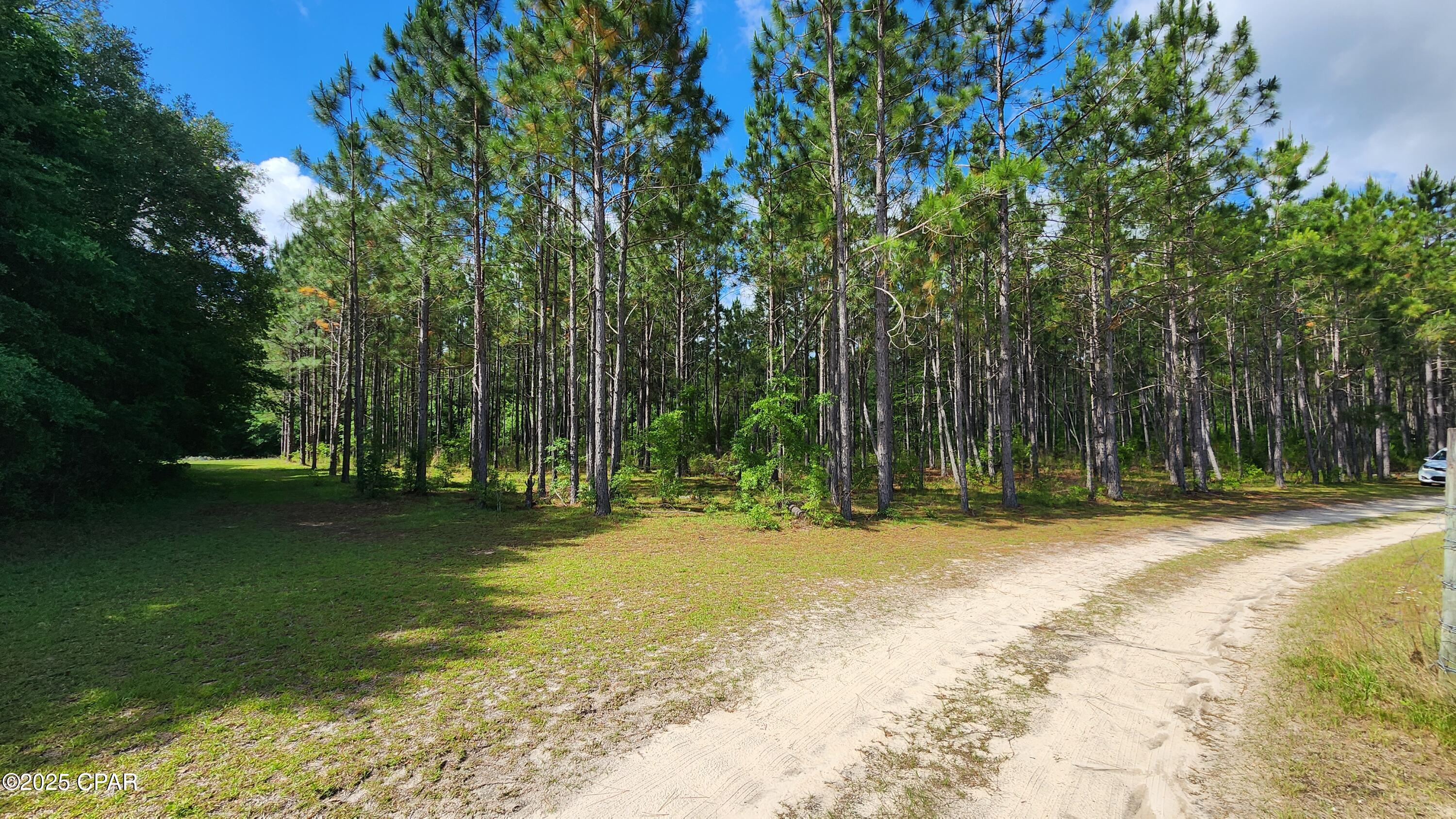 4670 Bartow Road, Greenwood, Florida image 38
