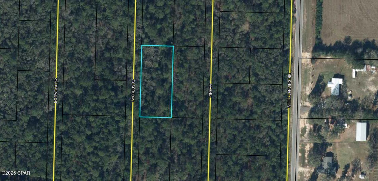 000 Cypress Avenue, Vernon, Florida image 1