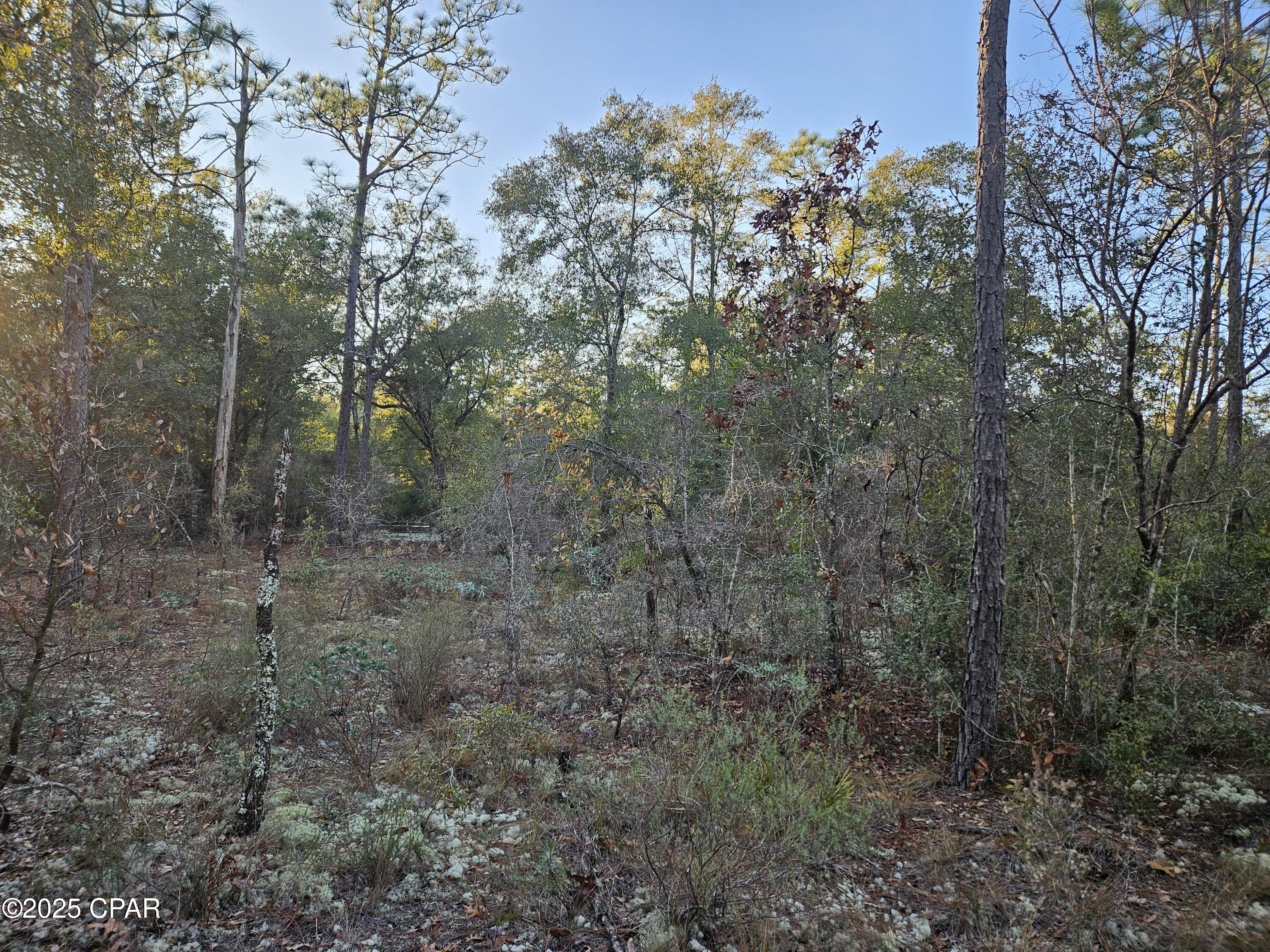 00 Opal Court, Chipley, Florida image 1