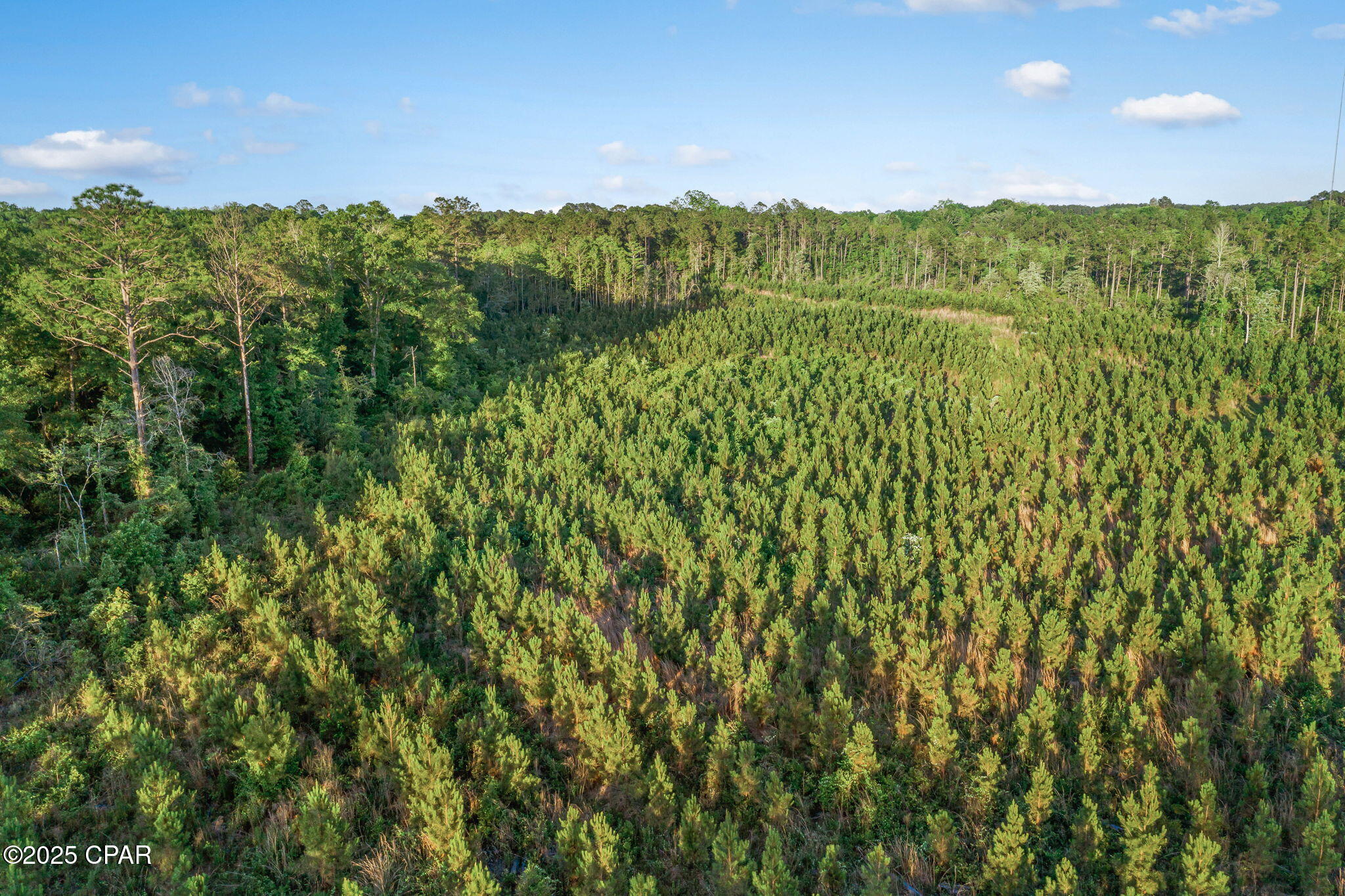 XXX Cr 177 #LOT 1, Bonifay, Florida image 11