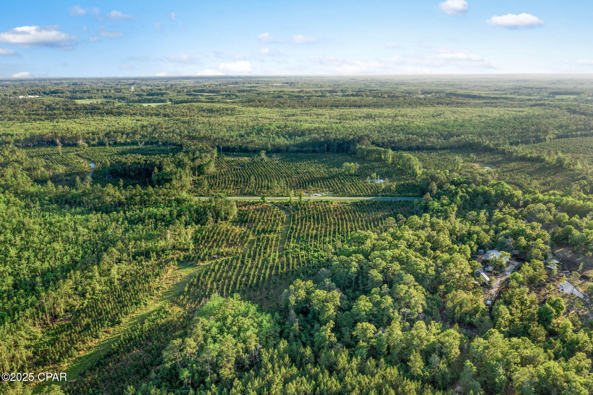 XXX Cr 177 #LOT 1, Bonifay, Florida image 6