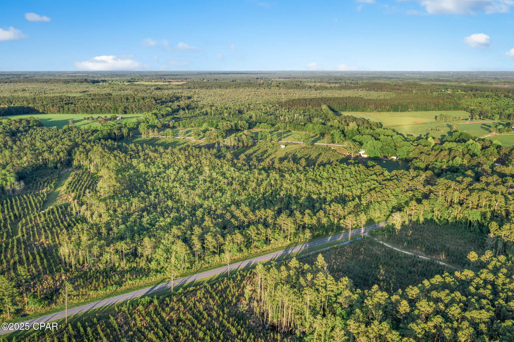 XXX Cr 177 #LOT 2, Bonifay, Florida image 12