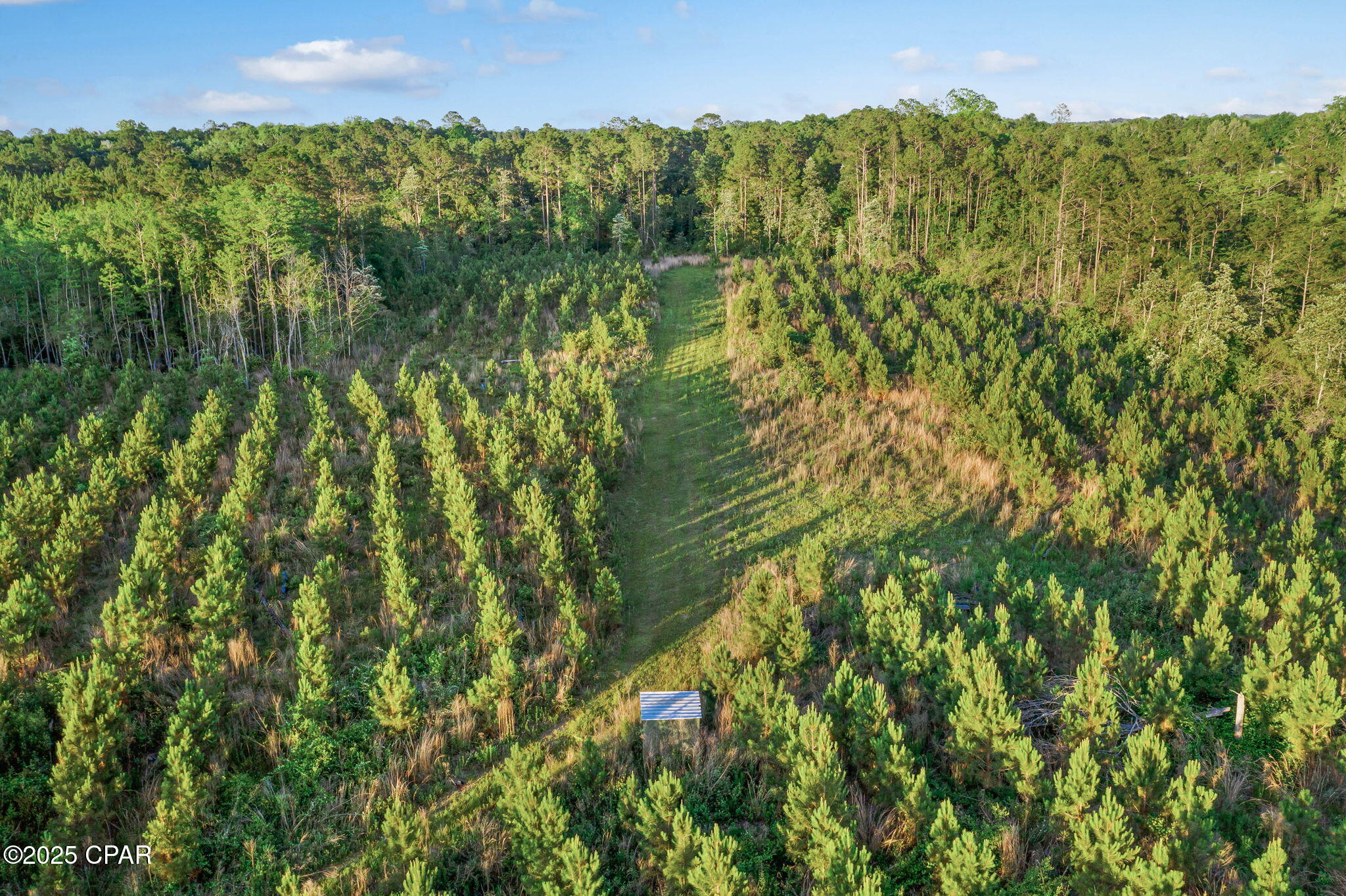 XXX Cr 177 #LOT 2, Bonifay, Florida image 15