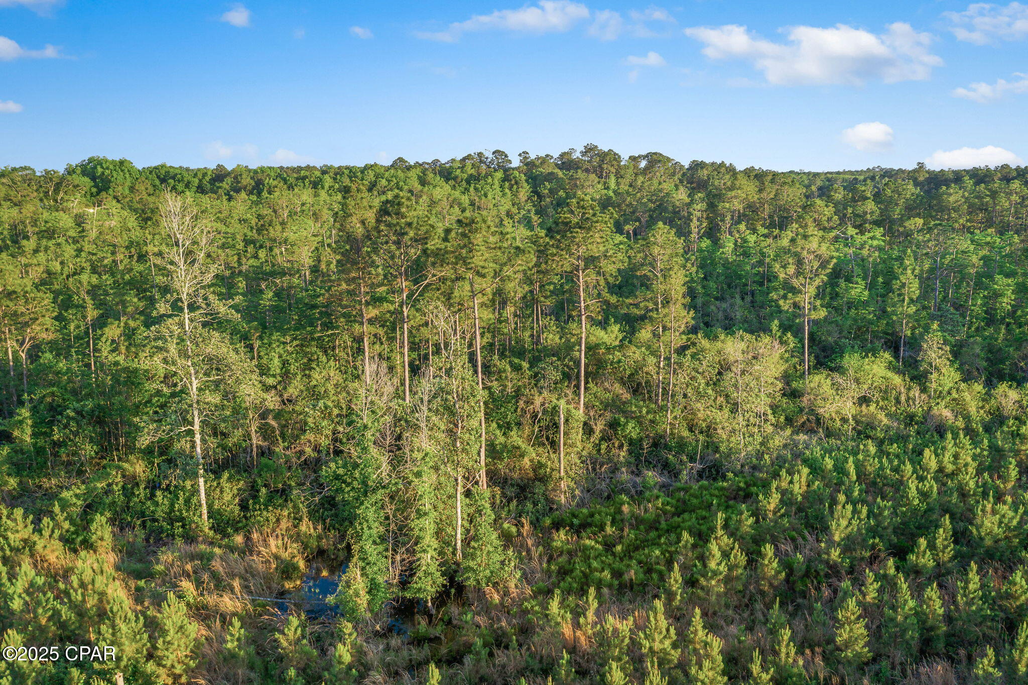 XXX Cr 177 #LOT 2, Bonifay, Florida image 16