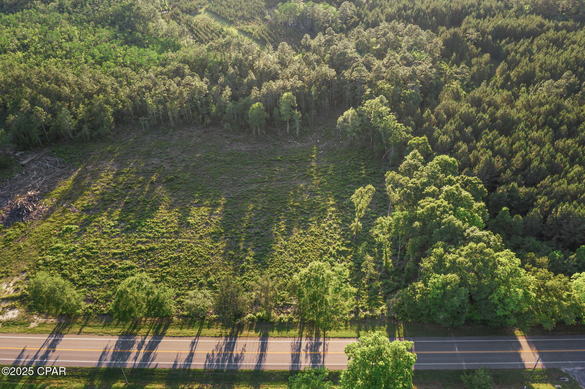 XXX Hwy 79 #LOT 3, Bonifay, Florida image 10