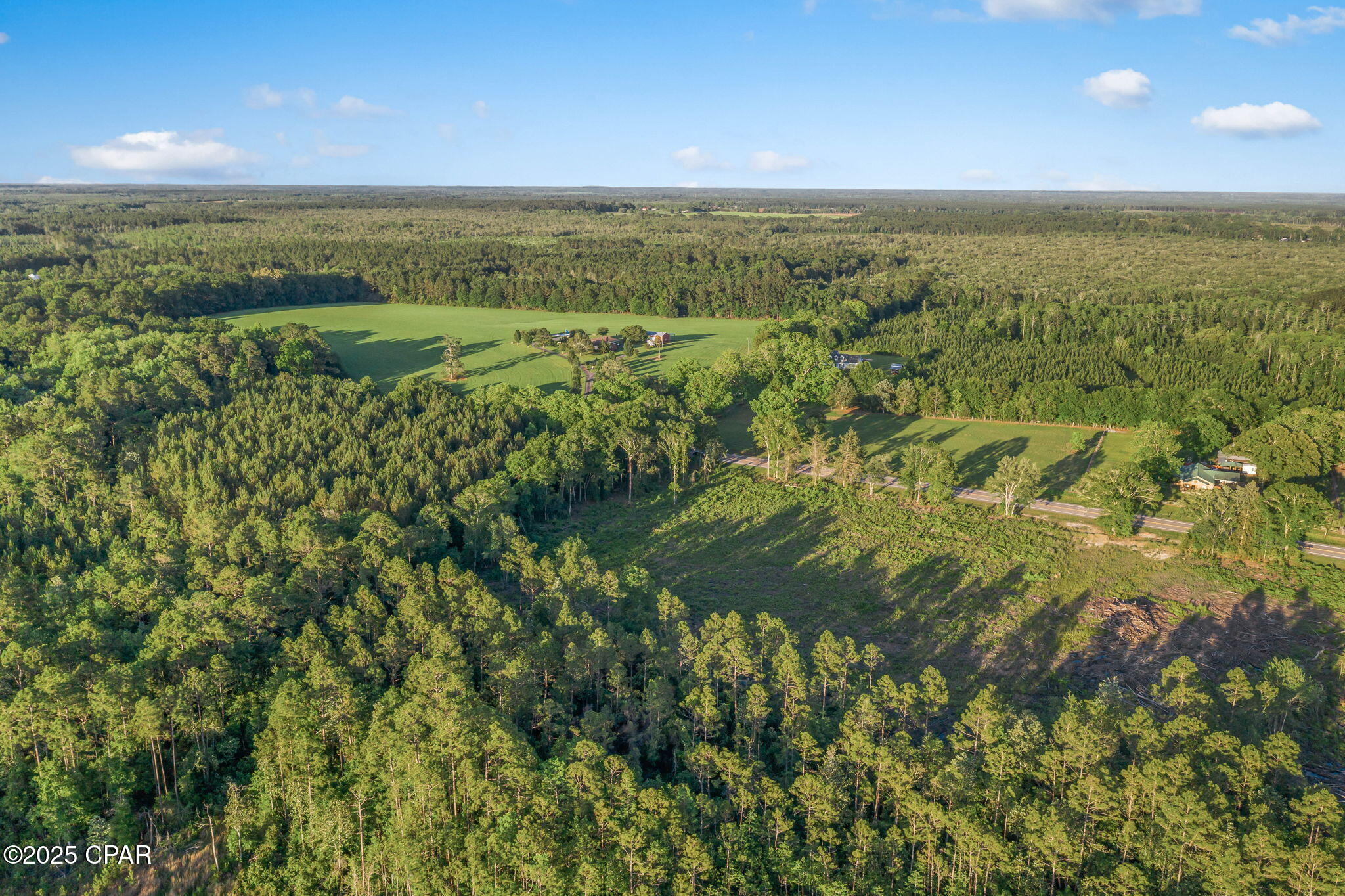 XXX Hwy 79 #LOT 3, Bonifay, Florida image 13