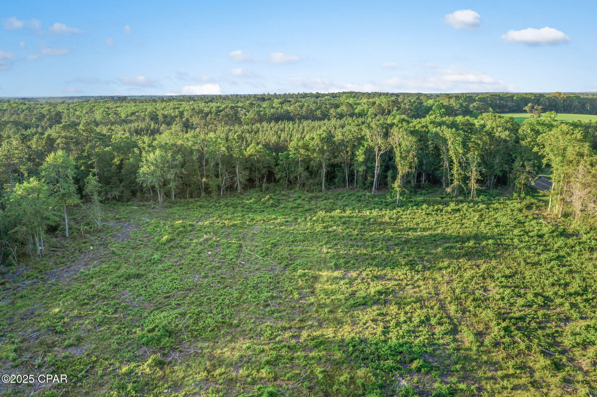 XXX Hwy 79 #LOT 3, Bonifay, Florida image 3