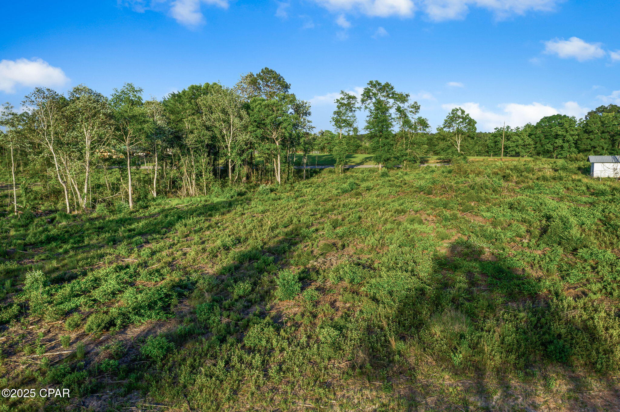 XXX Hwy 79 #LOT 5, Bonifay, Florida image 15