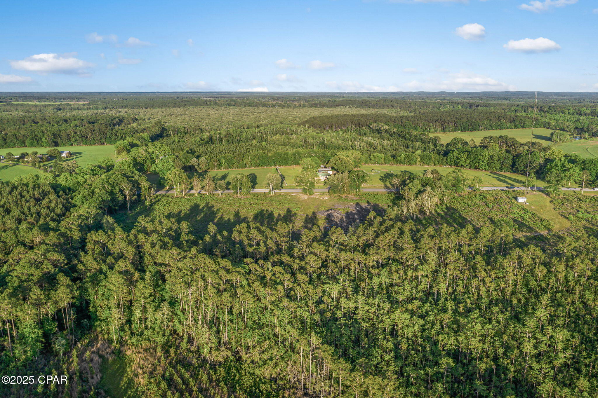 XXX Hwy 79 #LOT 4, Bonifay, Florida image 12