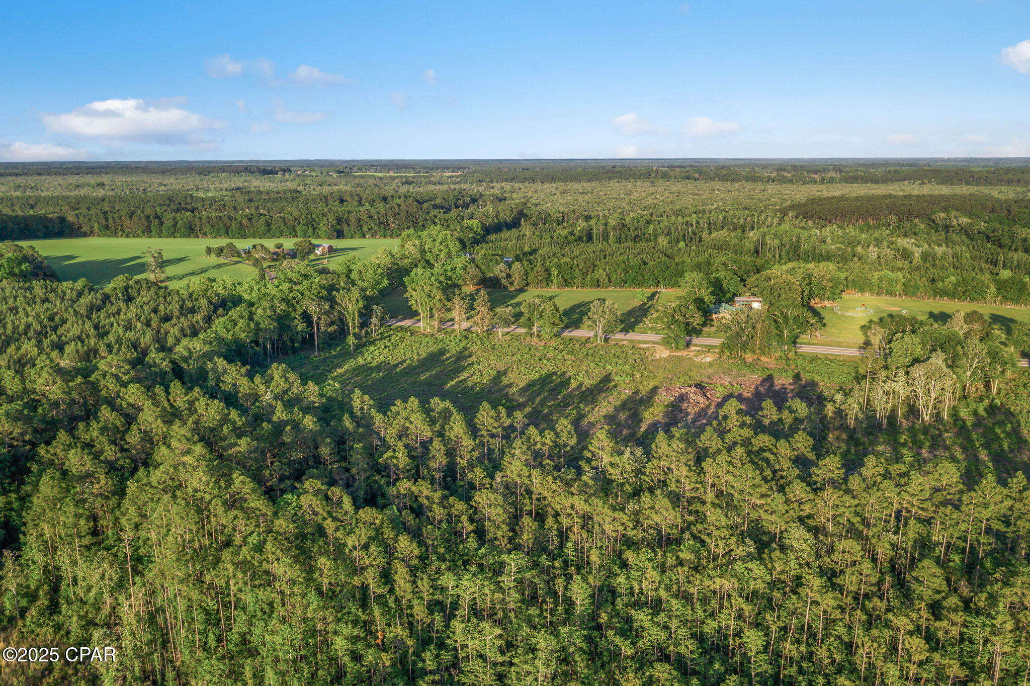 XXX Hwy 79 #LOT 4, Bonifay, Florida image 13