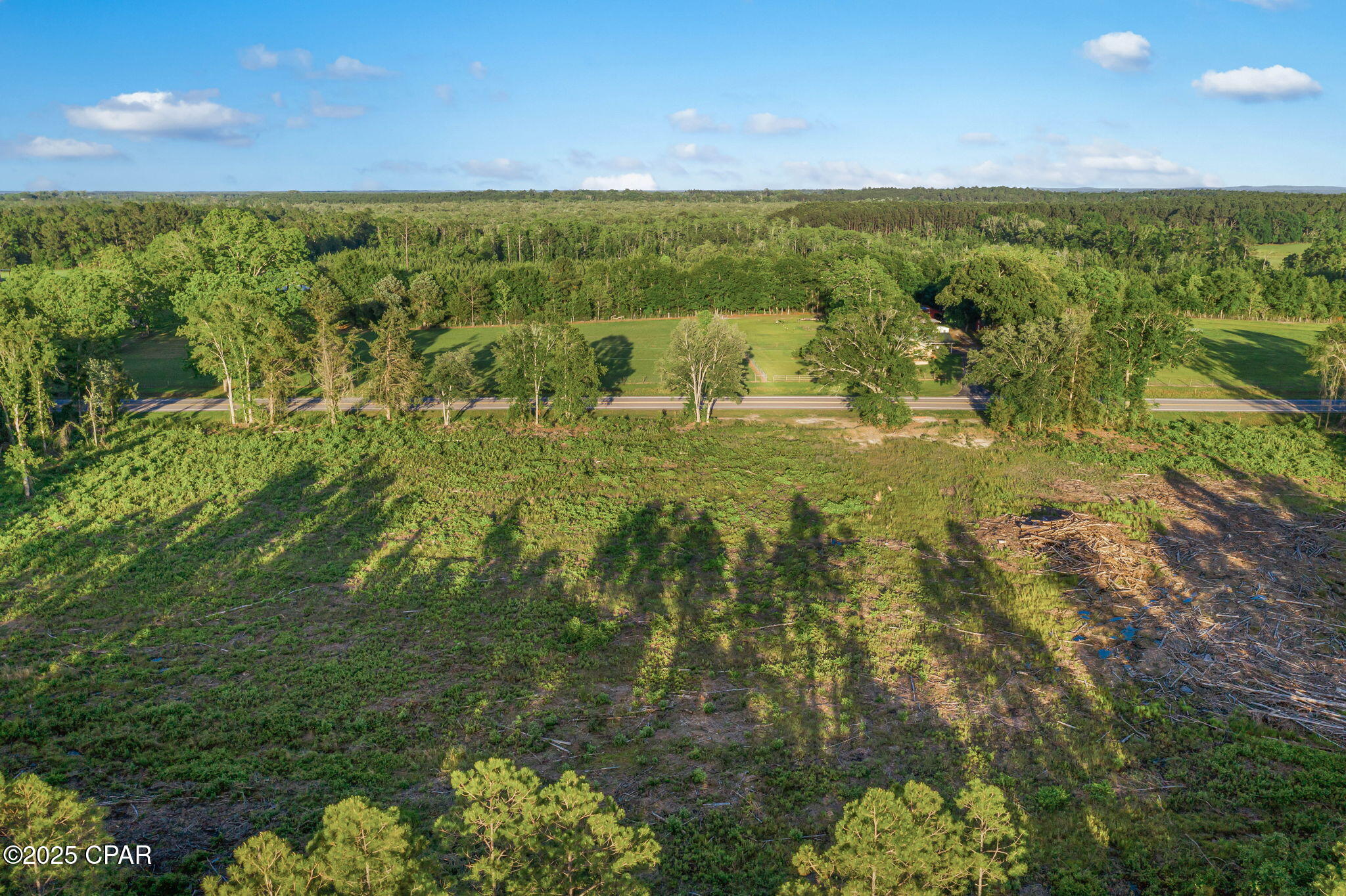 XXX Hwy 79 #LOT 4, Bonifay, Florida image 14