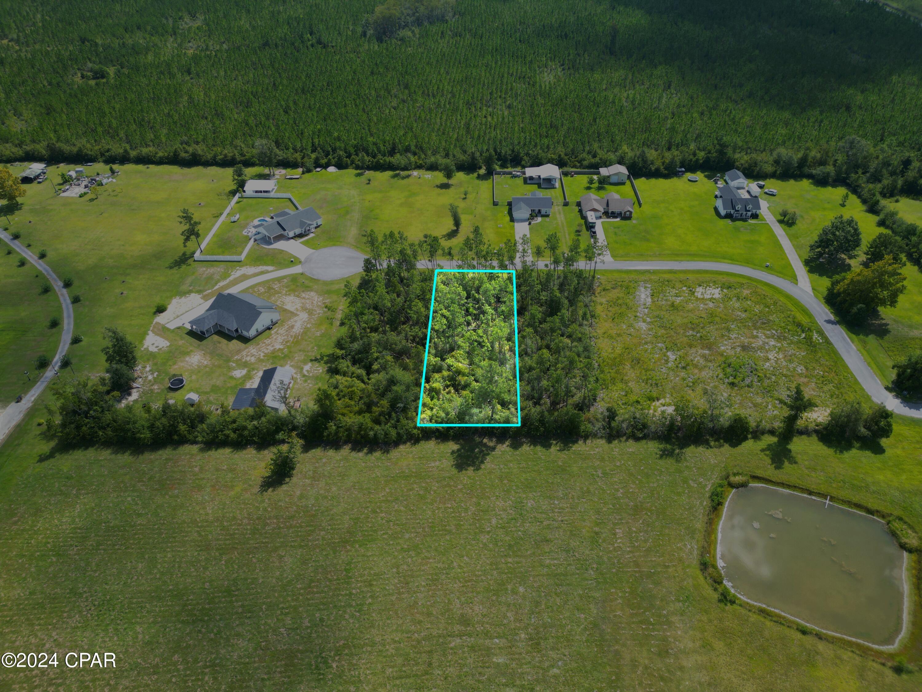 229 Edge Hill Road, Wewahitchka, Florida image 2