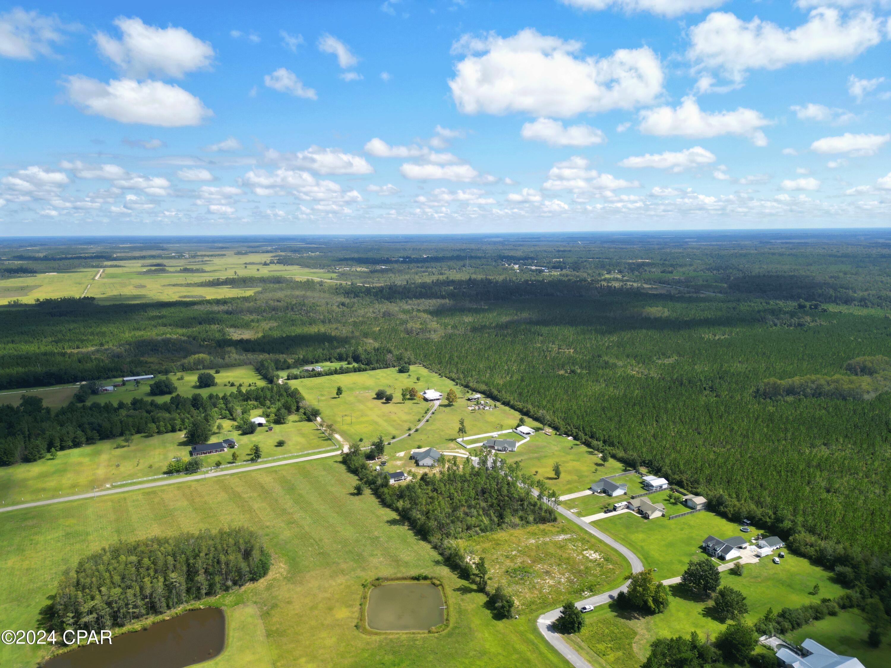 229 Edge Hill Road, Wewahitchka, Florida image 4
