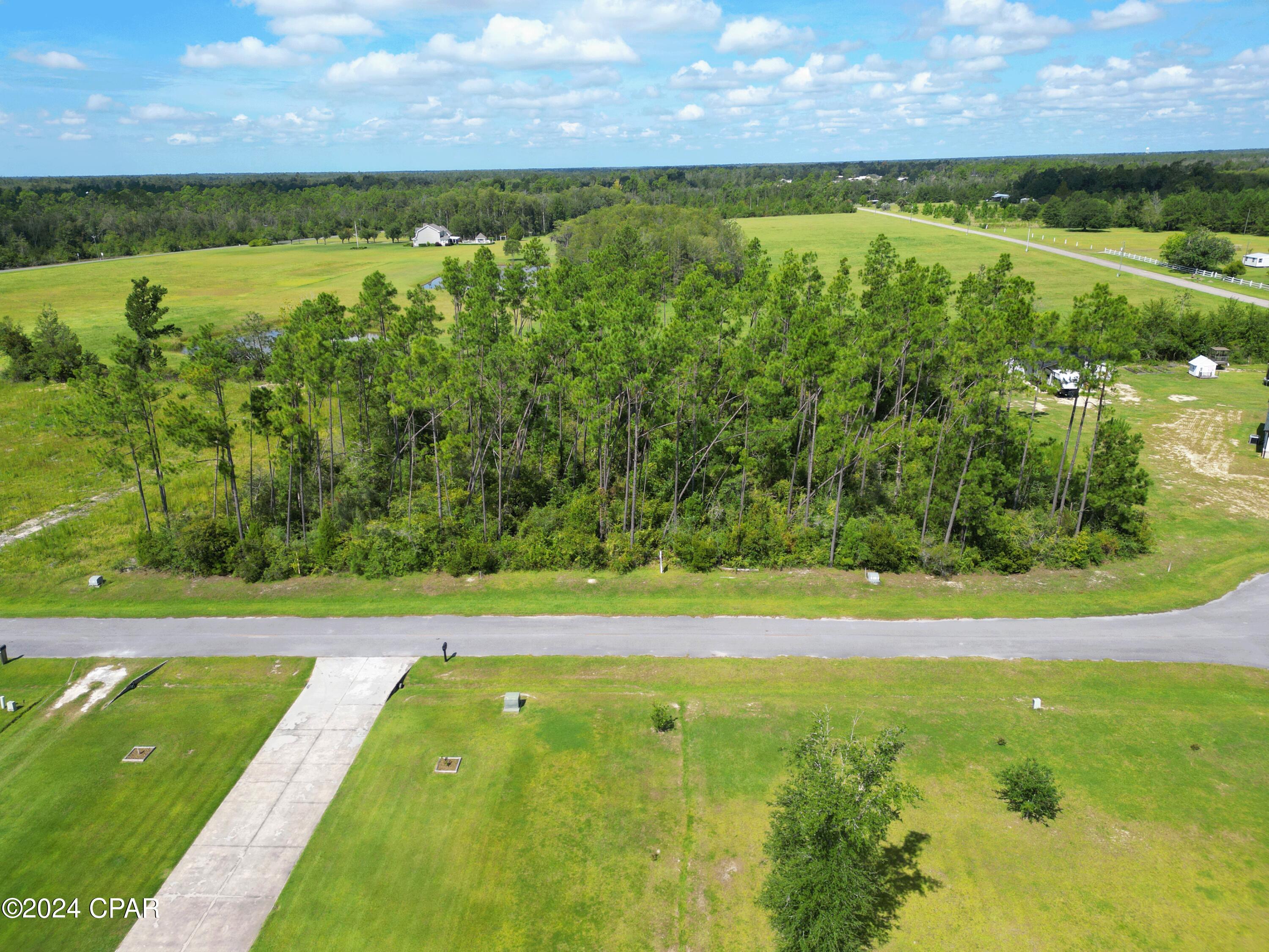 229 Edge Hill Road, Wewahitchka, Florida image 6