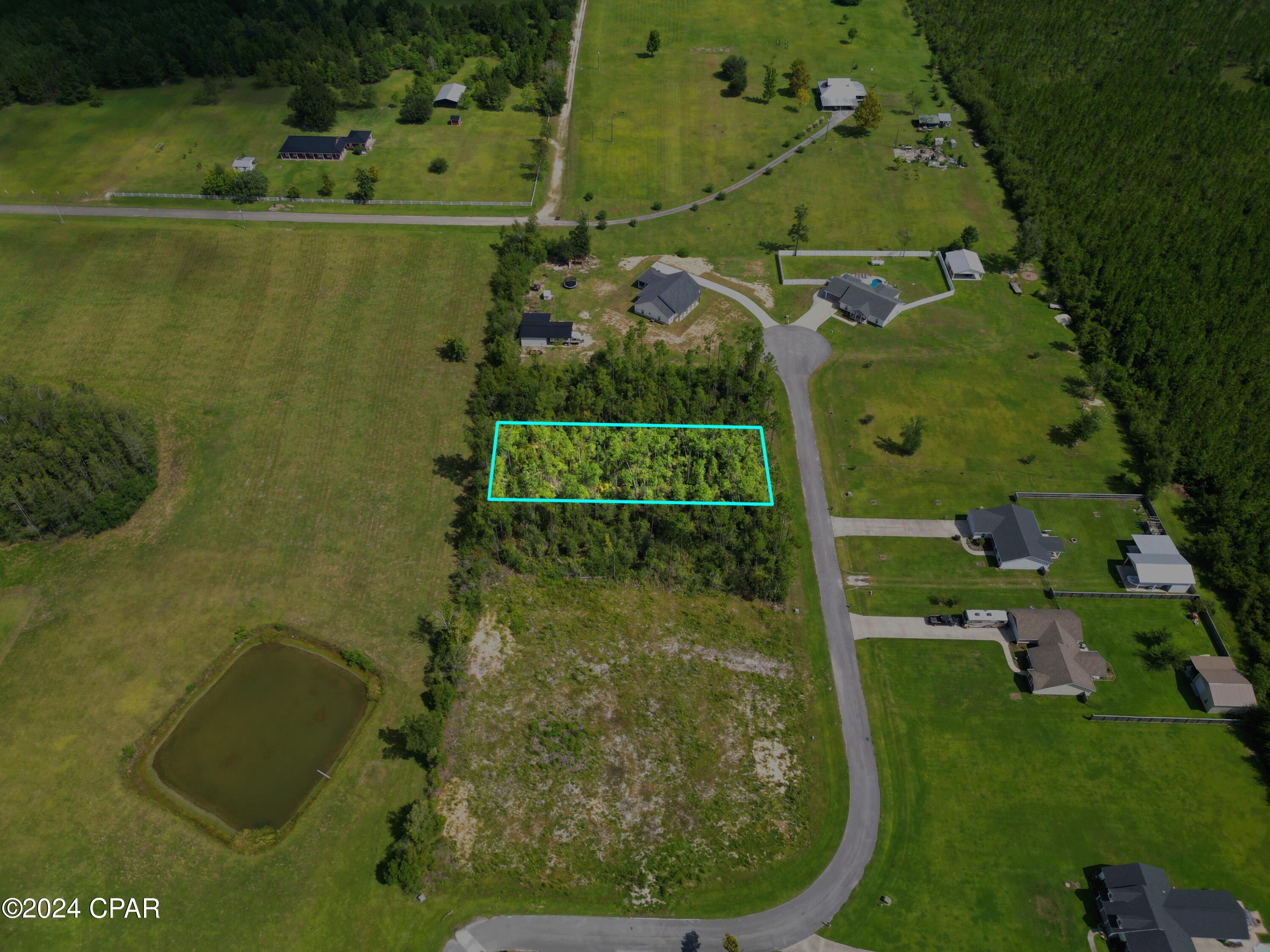 Image 8 For 229 Edge Hill Road