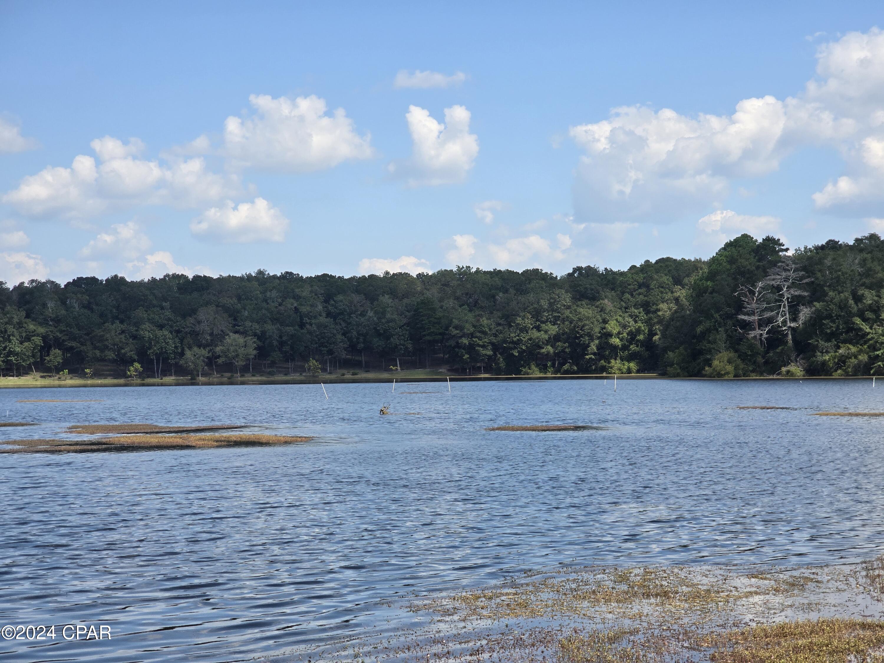 220 Blue Gill Loop, Defuniak Springs, Florida image 29