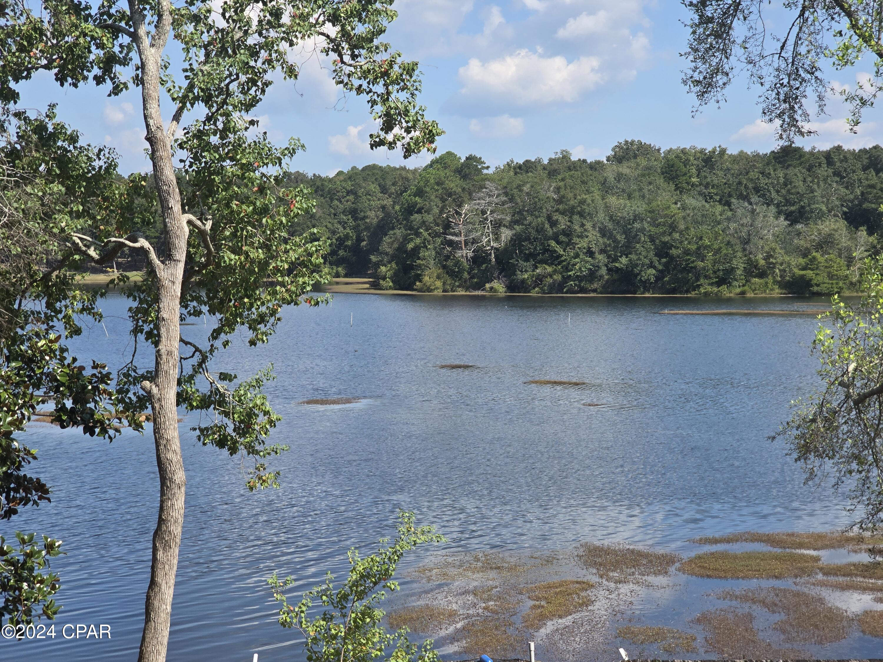 220 Blue Gill Loop, Defuniak Springs, Florida image 32