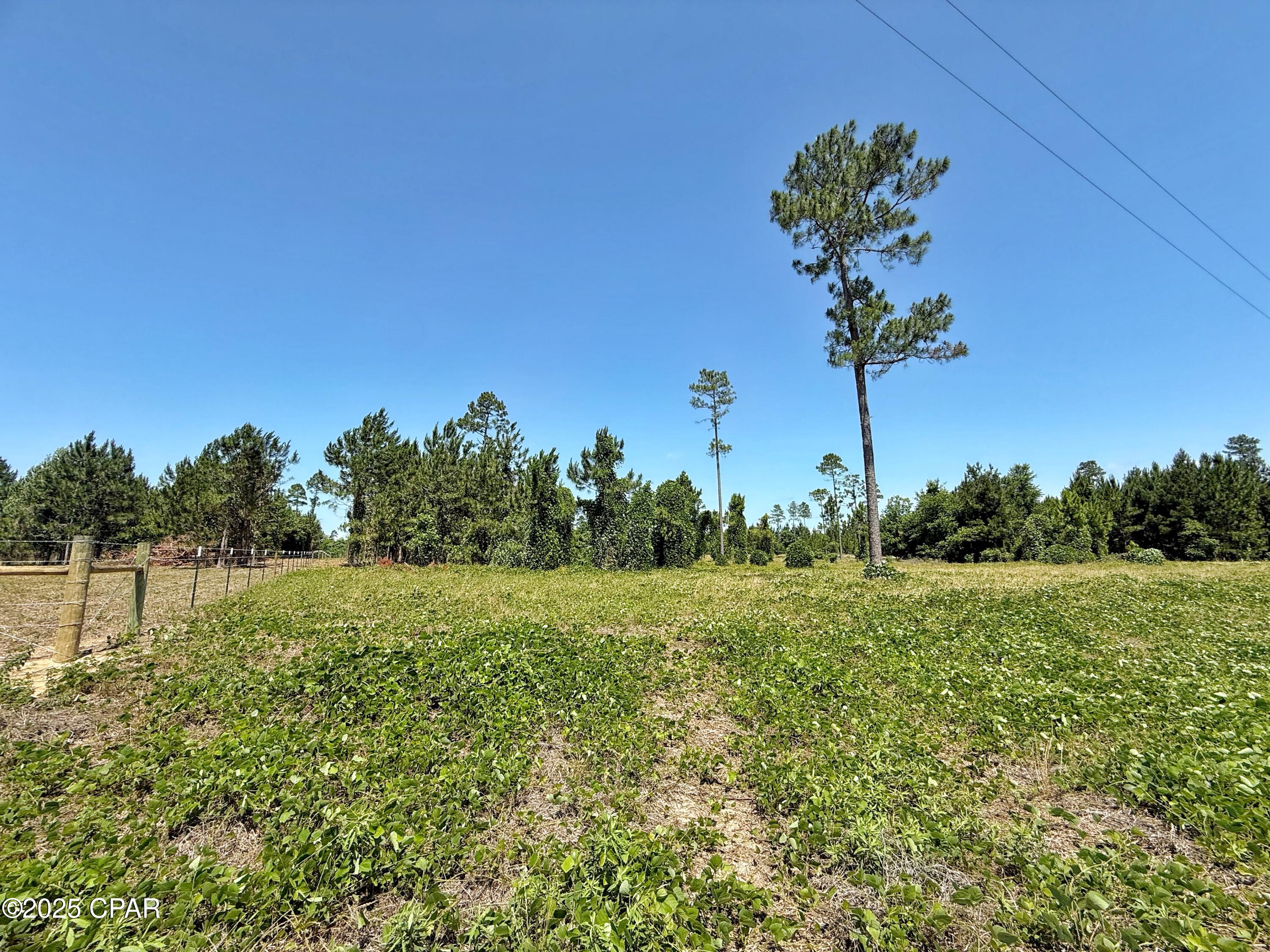 00 Solitaire Trail, Marianna, Florida image 2