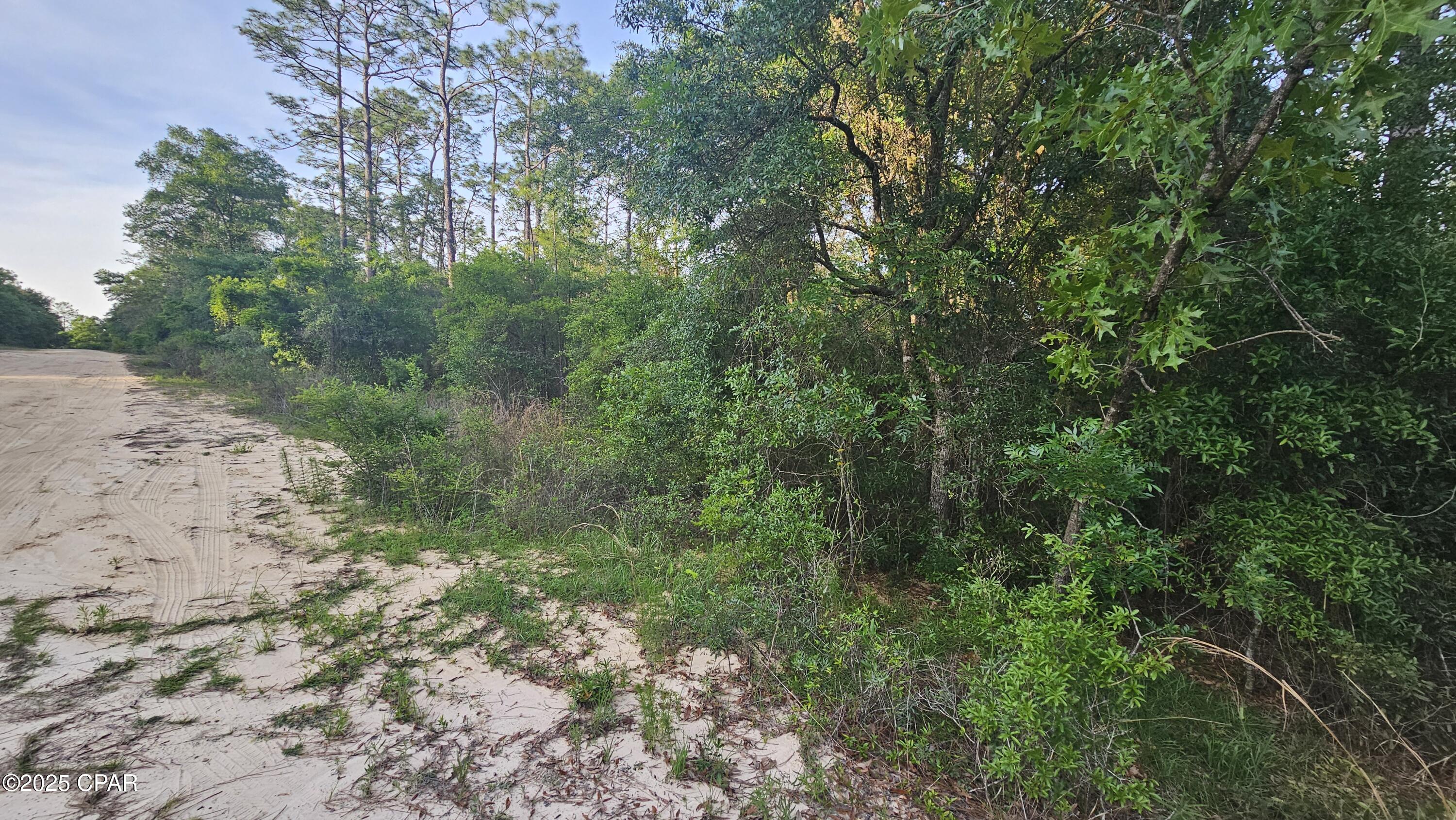 Lots 21-22 Dunford Circle, Chipley, Florida image 6
