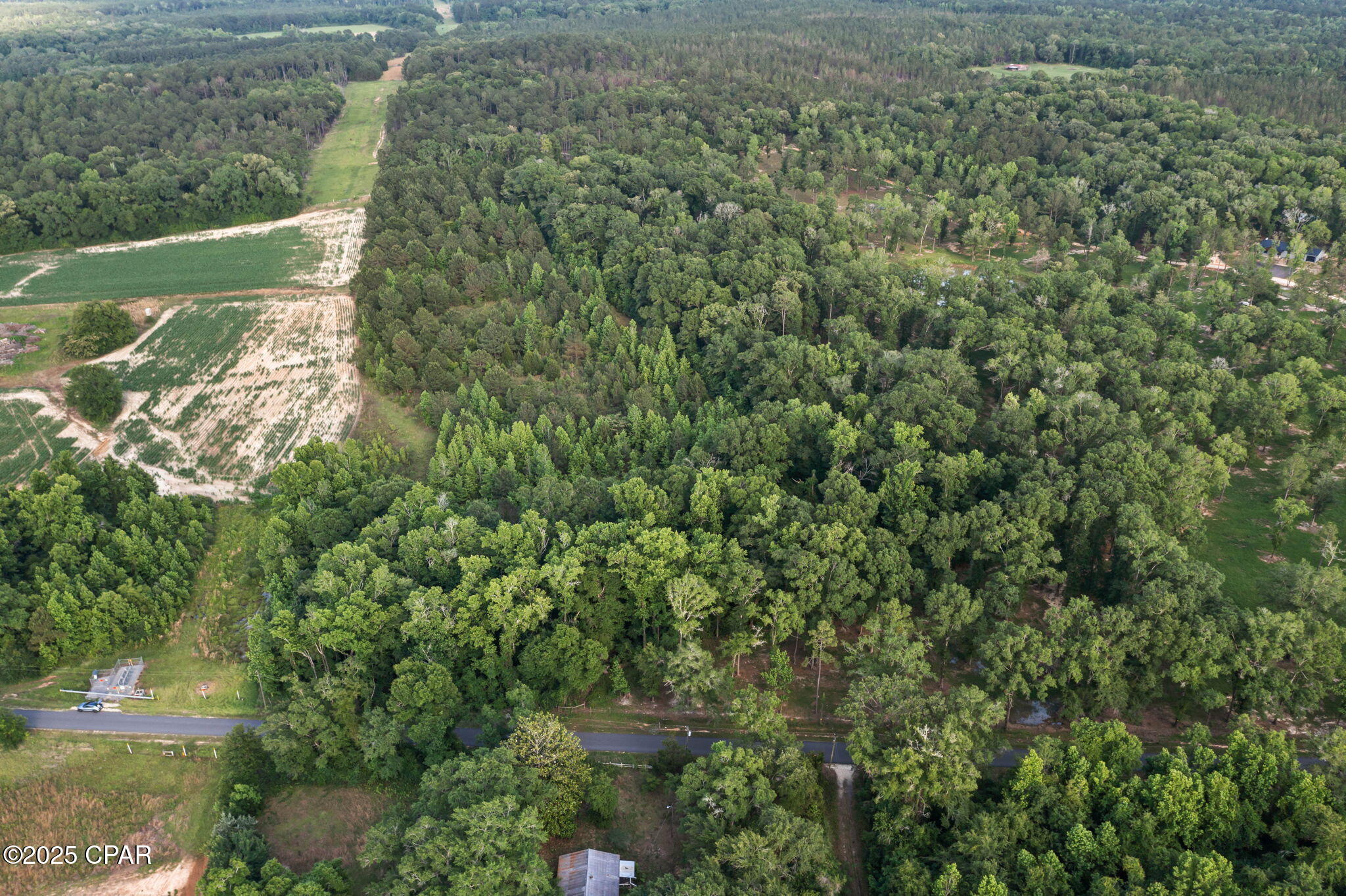 XXX Owens Community Road, Vernon, Florida image 11