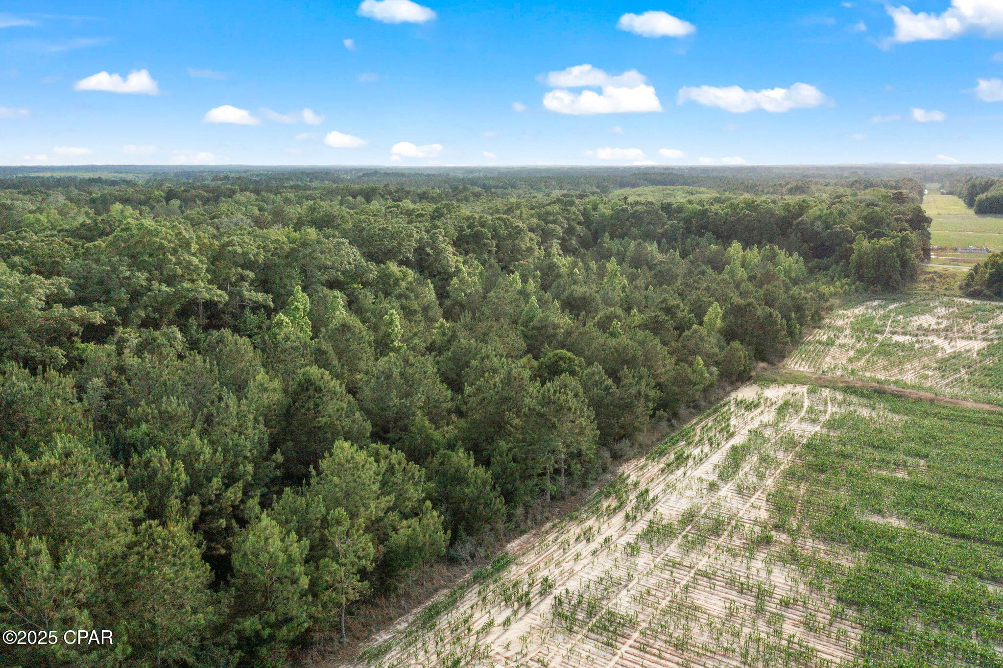XXX Owens Community Road, Vernon, Florida image 13