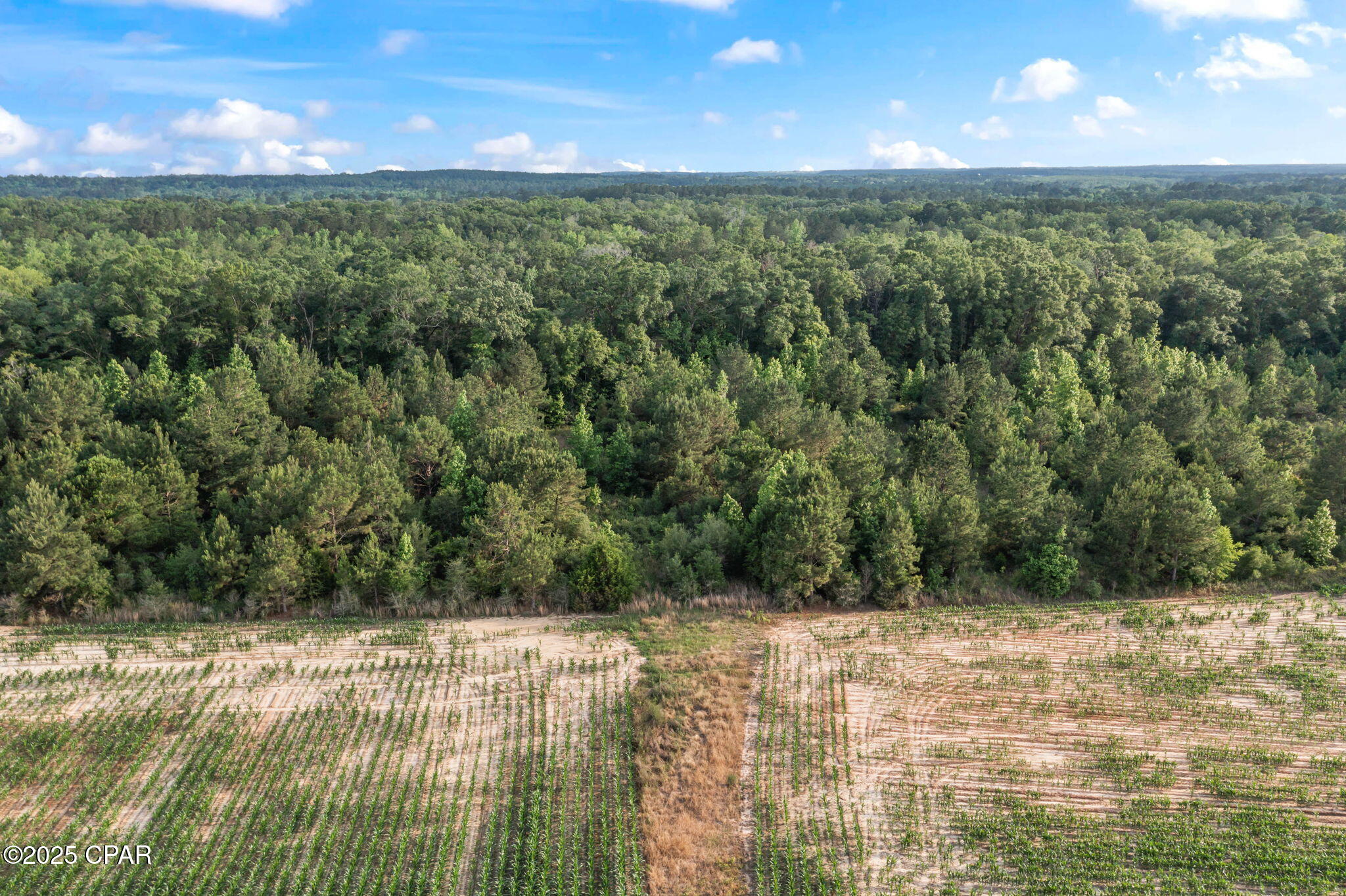 XXX Owens Community Road, Vernon, Florida image 14