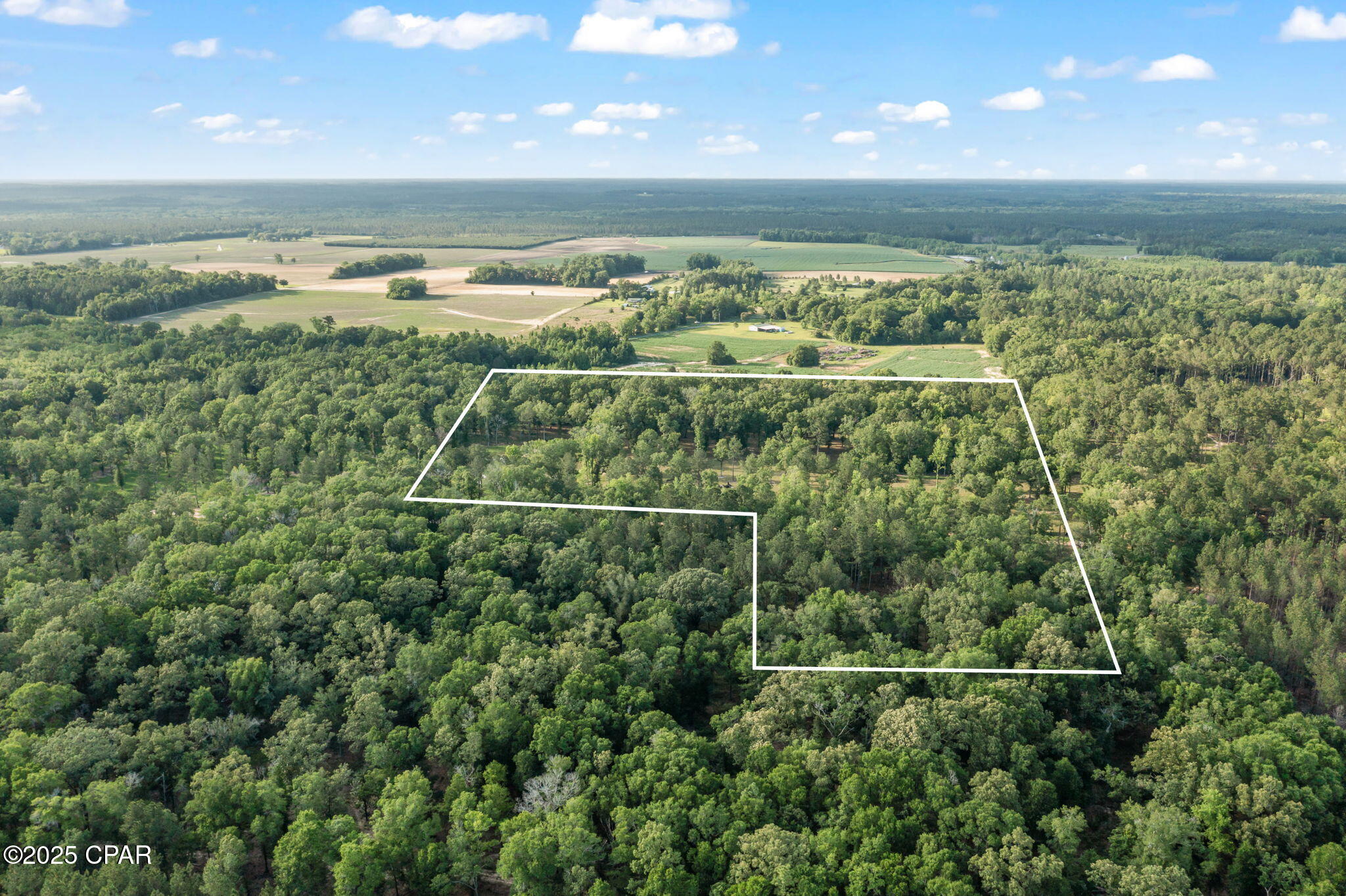 XXX Owens Community Road, Vernon, Florida image 18