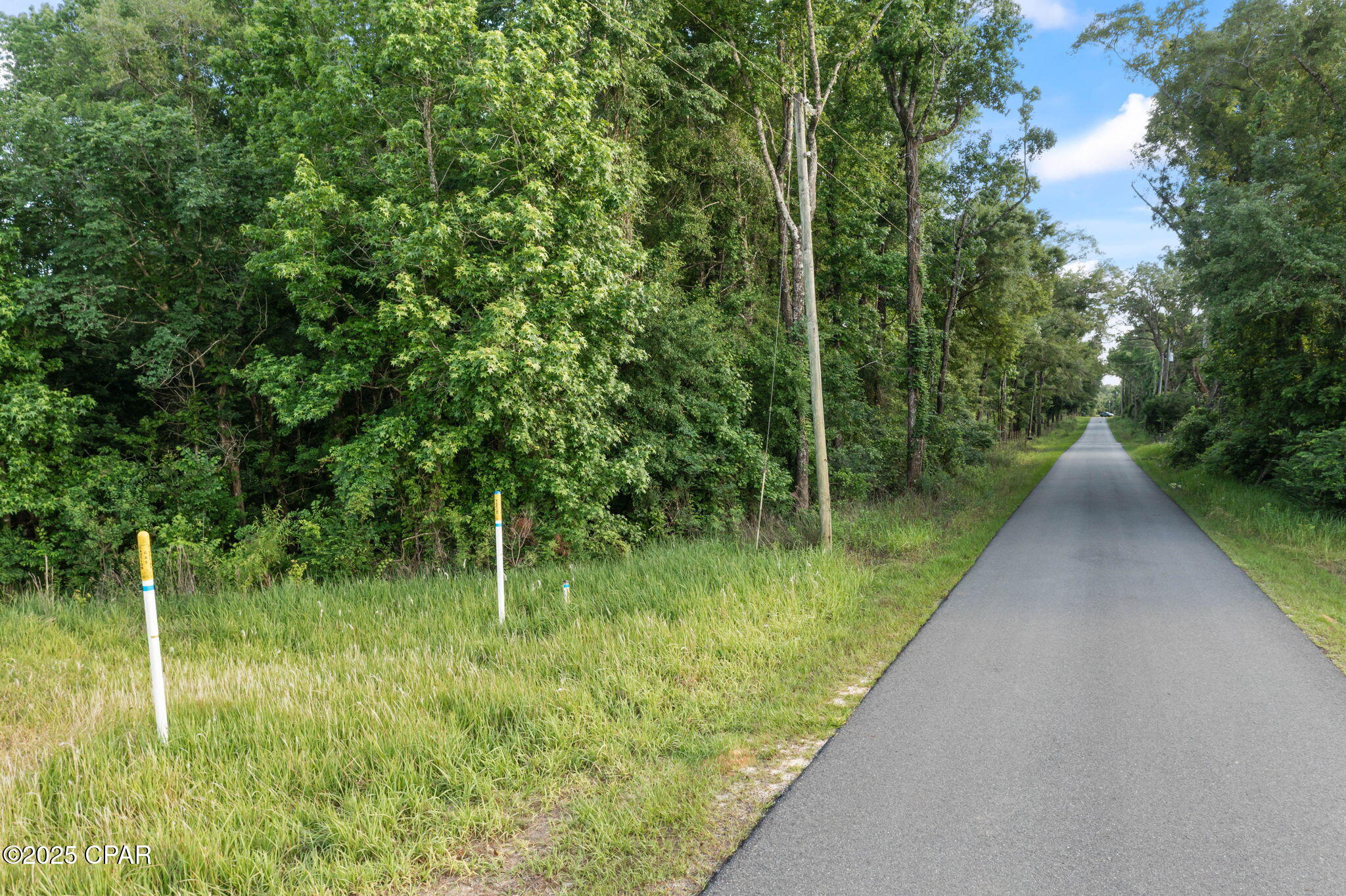 XXX Owens Community Road, Vernon, Florida image 2