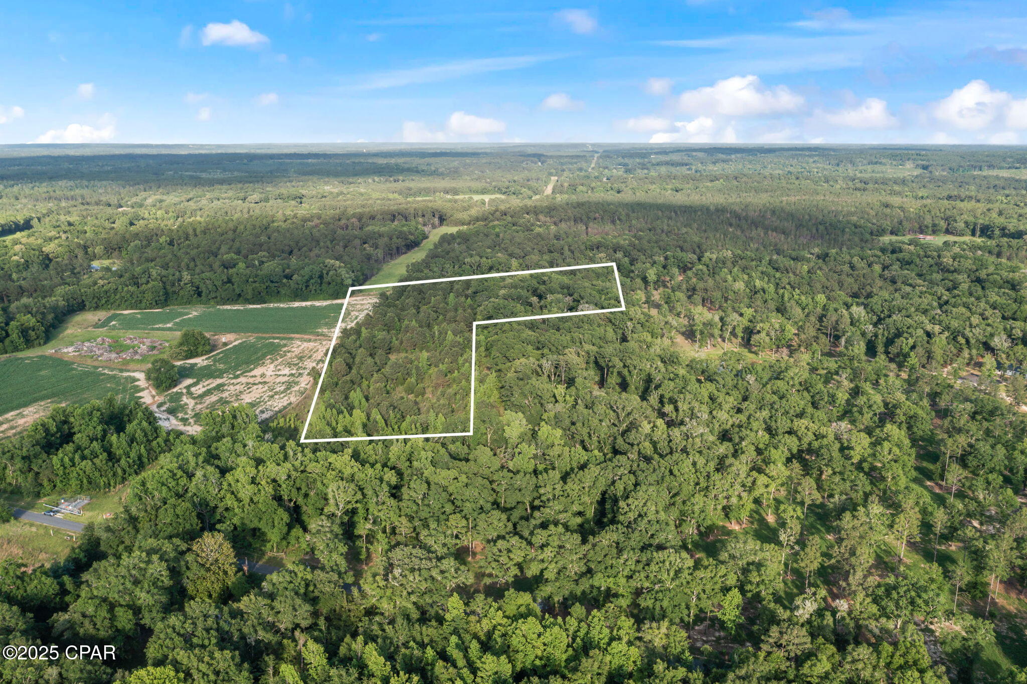 XXX Owens Community Road, Vernon, Florida image 20