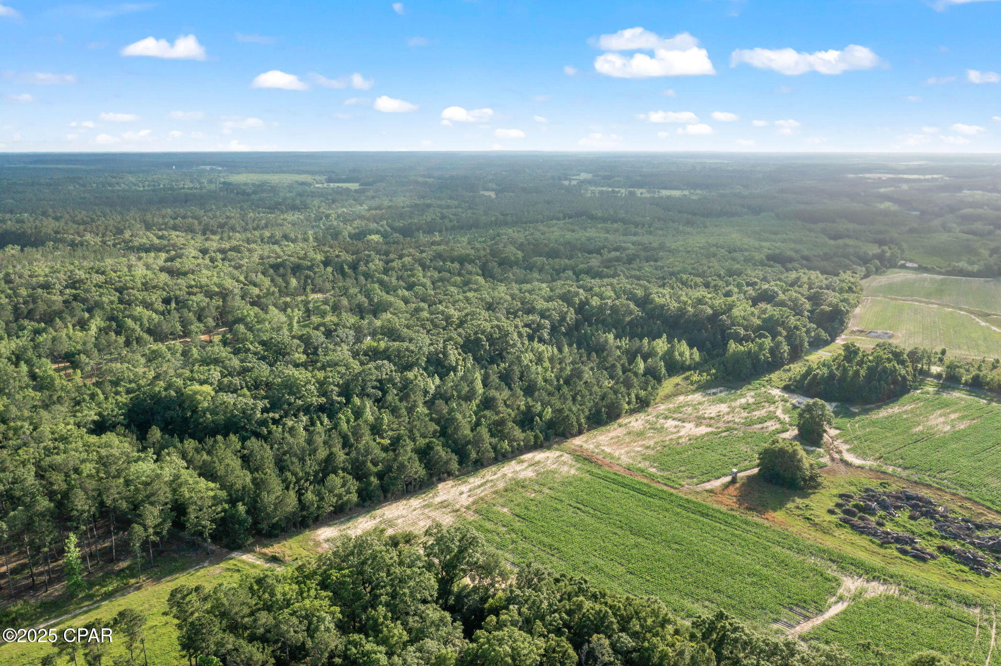 XXX Owens Community Road, Vernon, Florida image 8