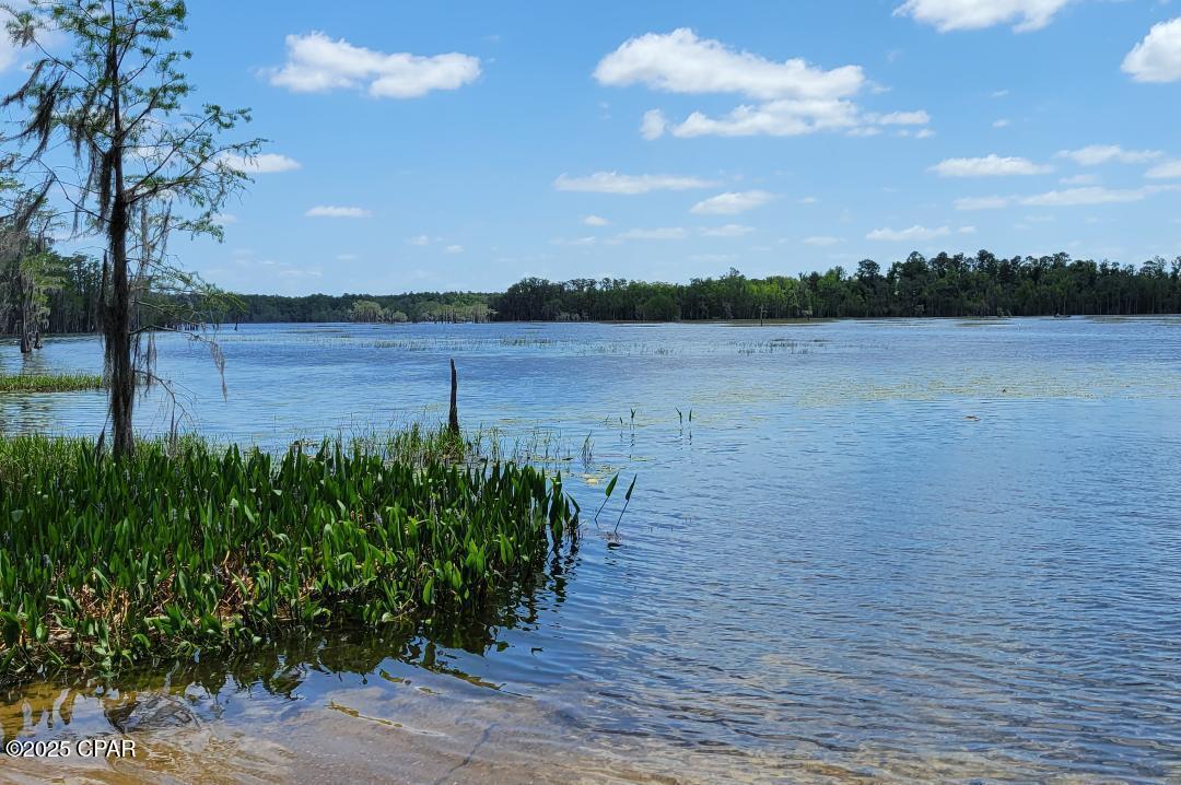 Lot 14 Joy, Marianna, Florida image 2