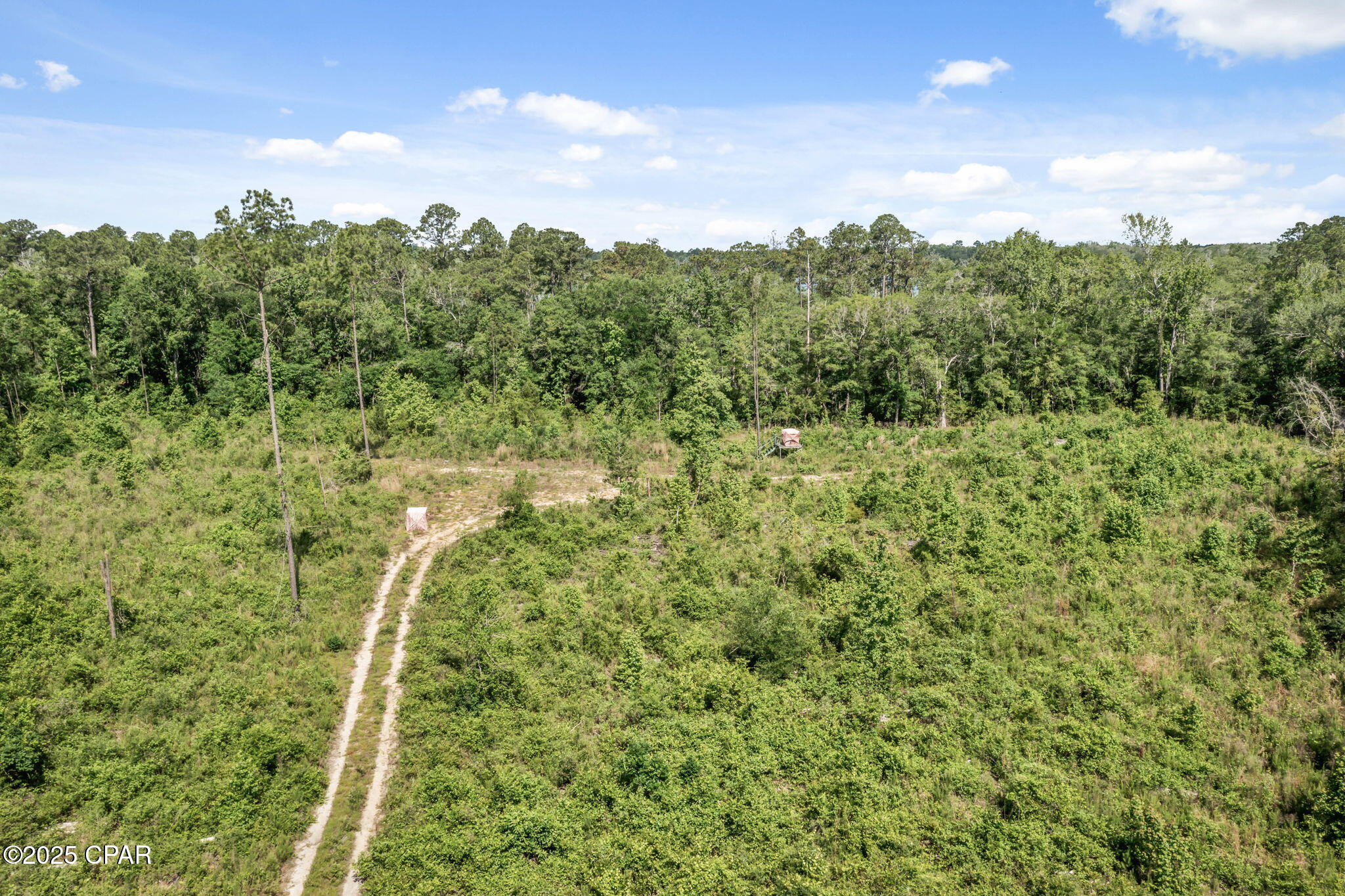 XXX Tiller Road, Chipley, Florida image 11