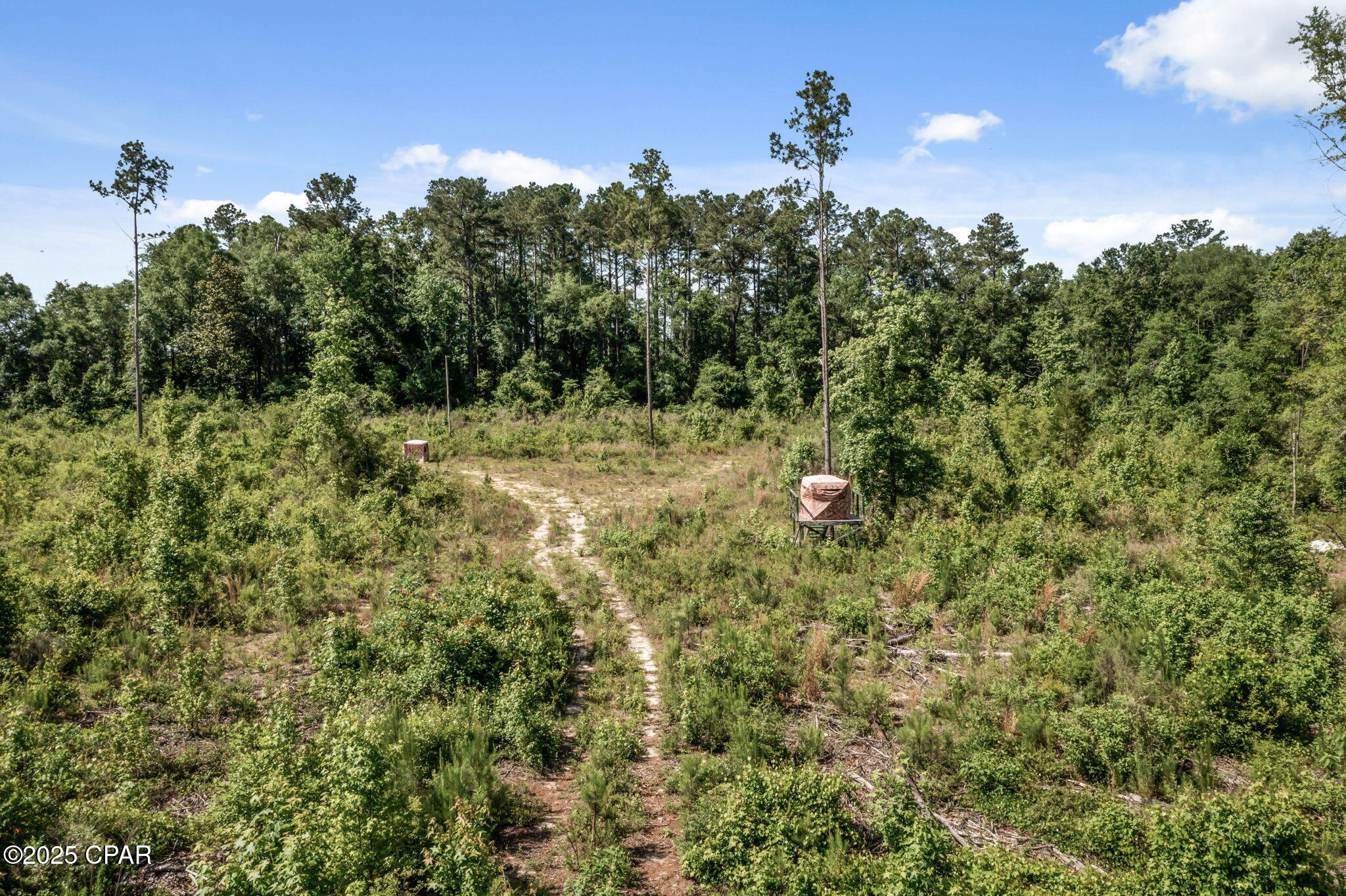 XXX Tiller Road, Chipley, Florida image 12