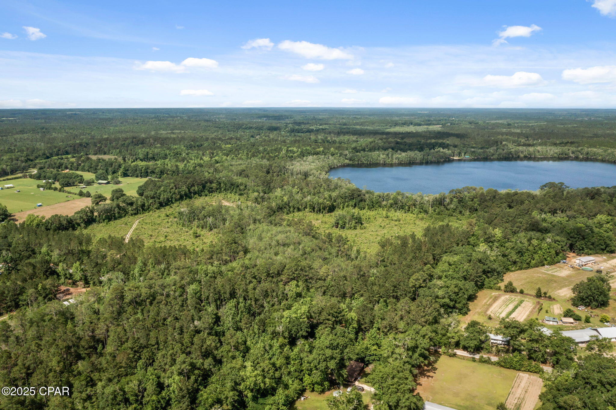 XXX Tiller Road, Chipley, Florida image 16