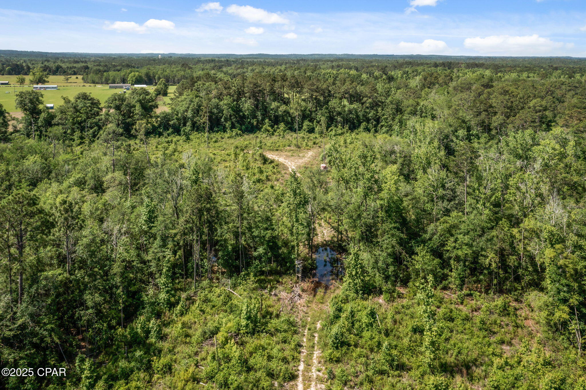XXX Tiller Road, Chipley, Florida image 20